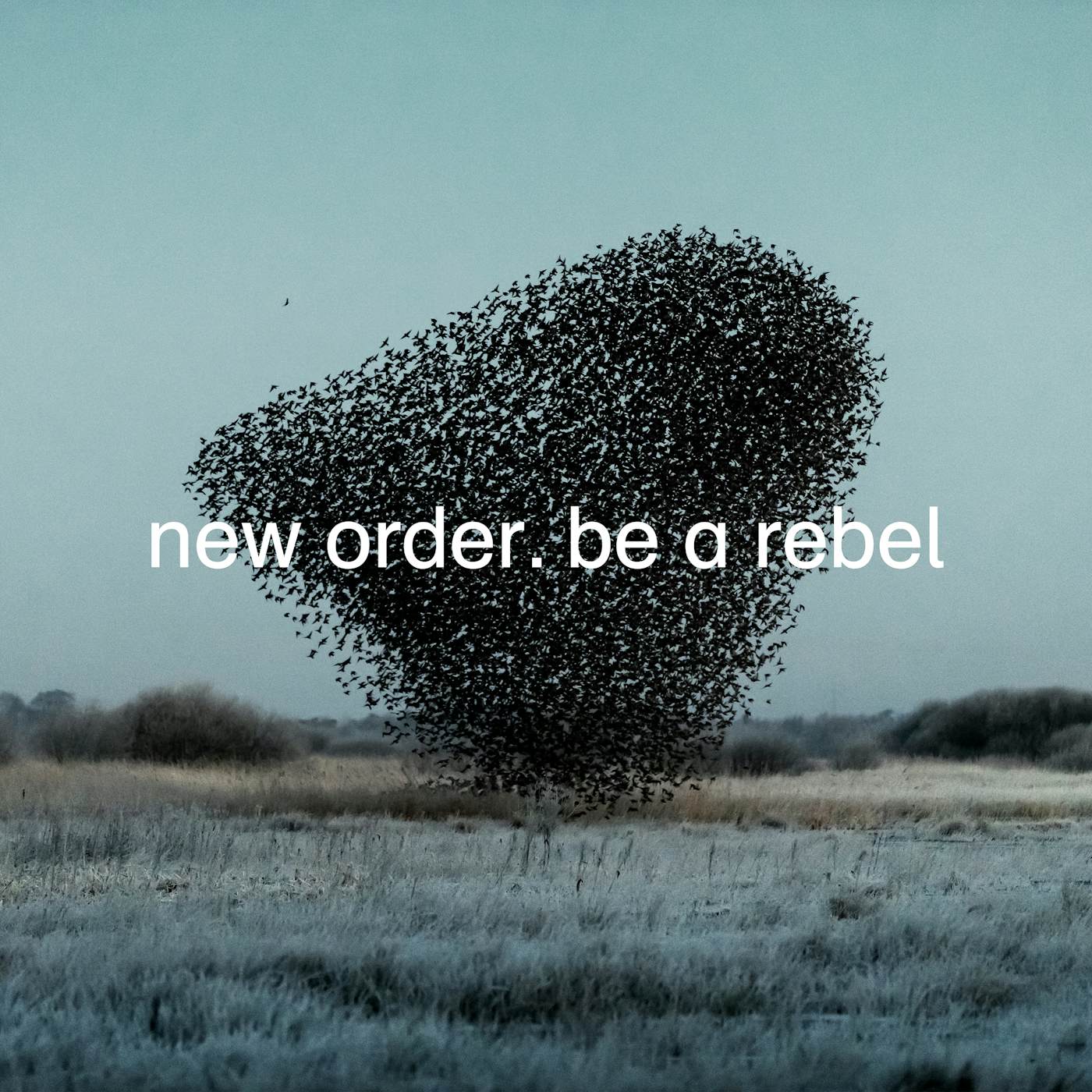 New Order Be a Rebel (LP) (Vinyl)