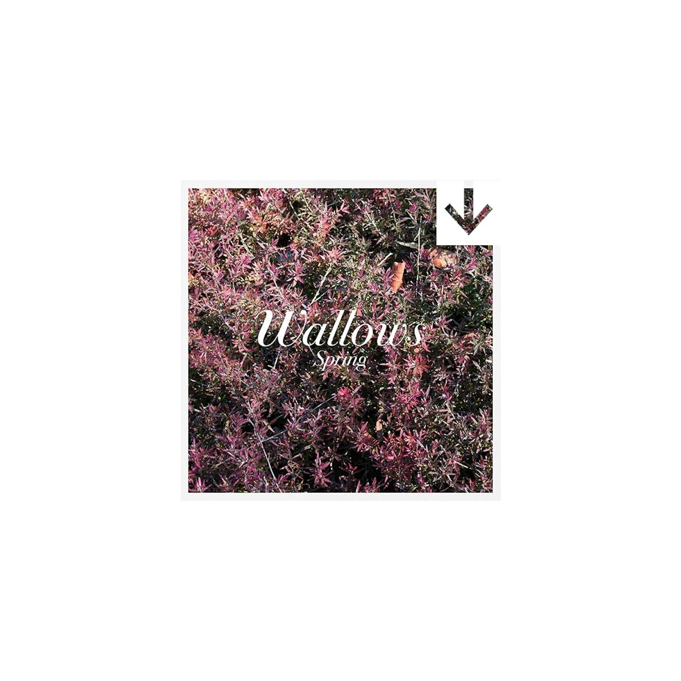 Wallows ‘spring’ EP (Digital Album)
