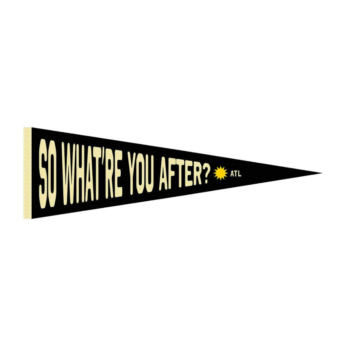 All Time Low So What're You After? Pennant  (Limited Edition)
