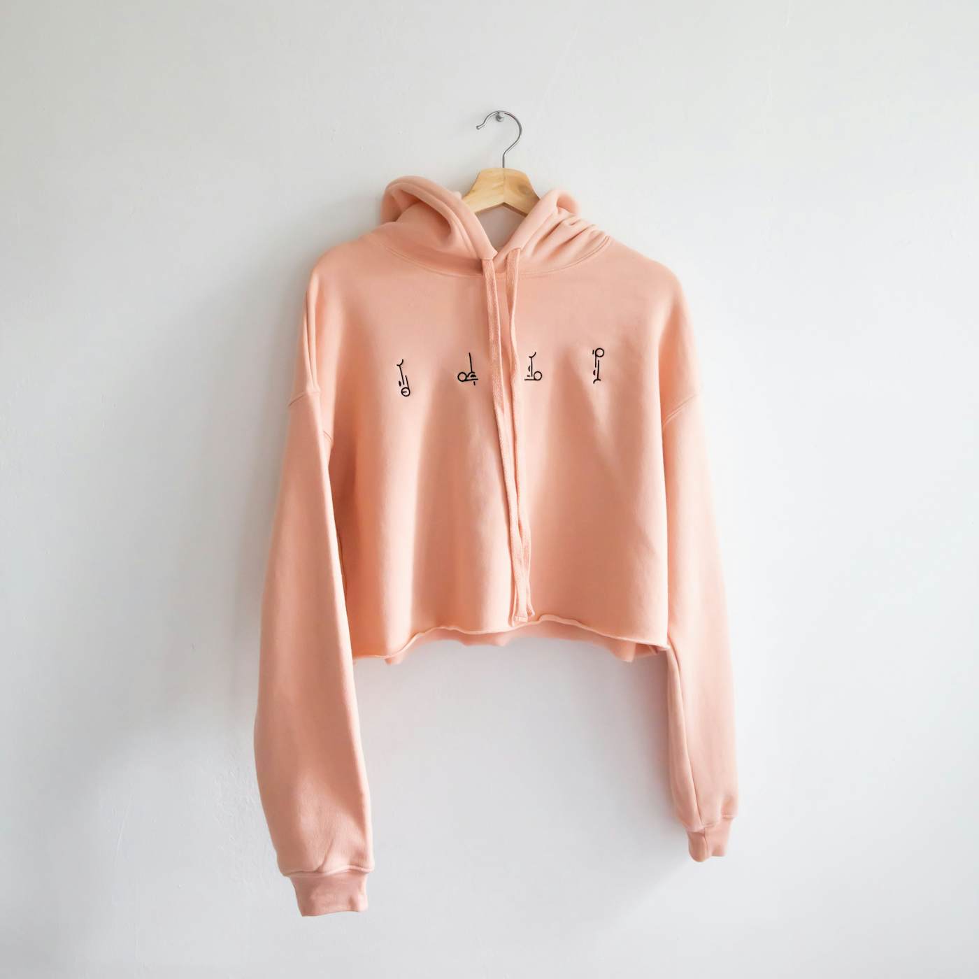 Hippo Campus CROPPED LOGOS HOODIE