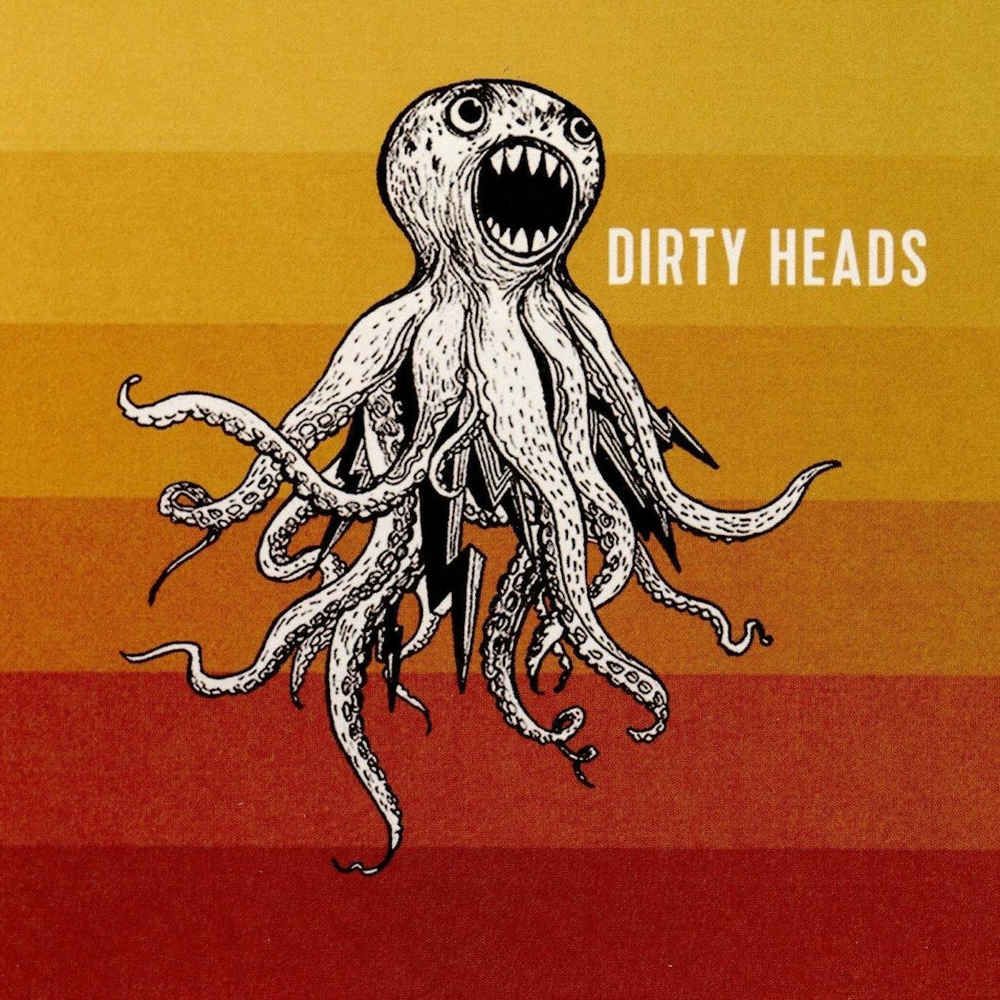 Dirty Heads - Dirty Heads Vinyl