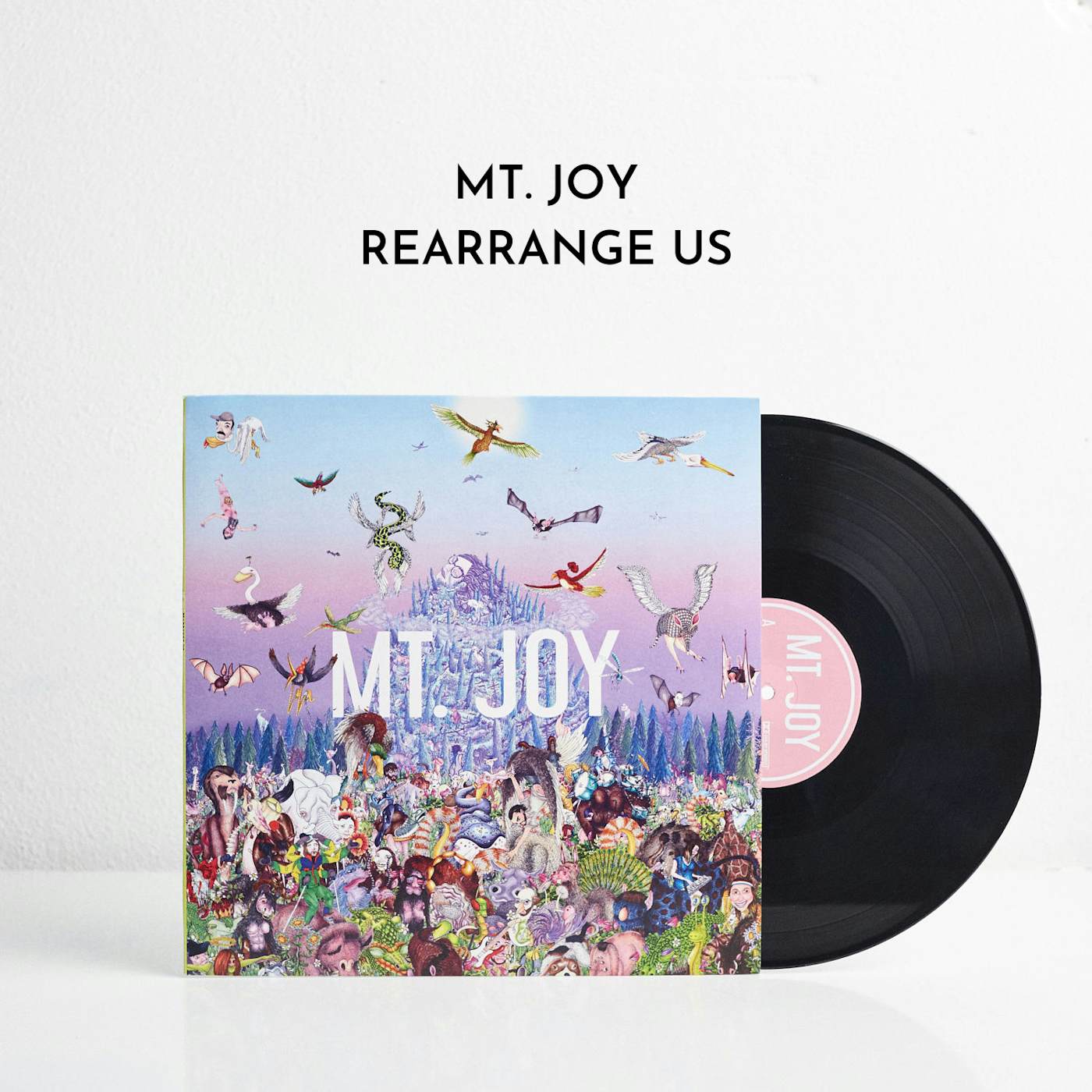 Mt. Joy Rearrange Us (LP) (Vinyl)