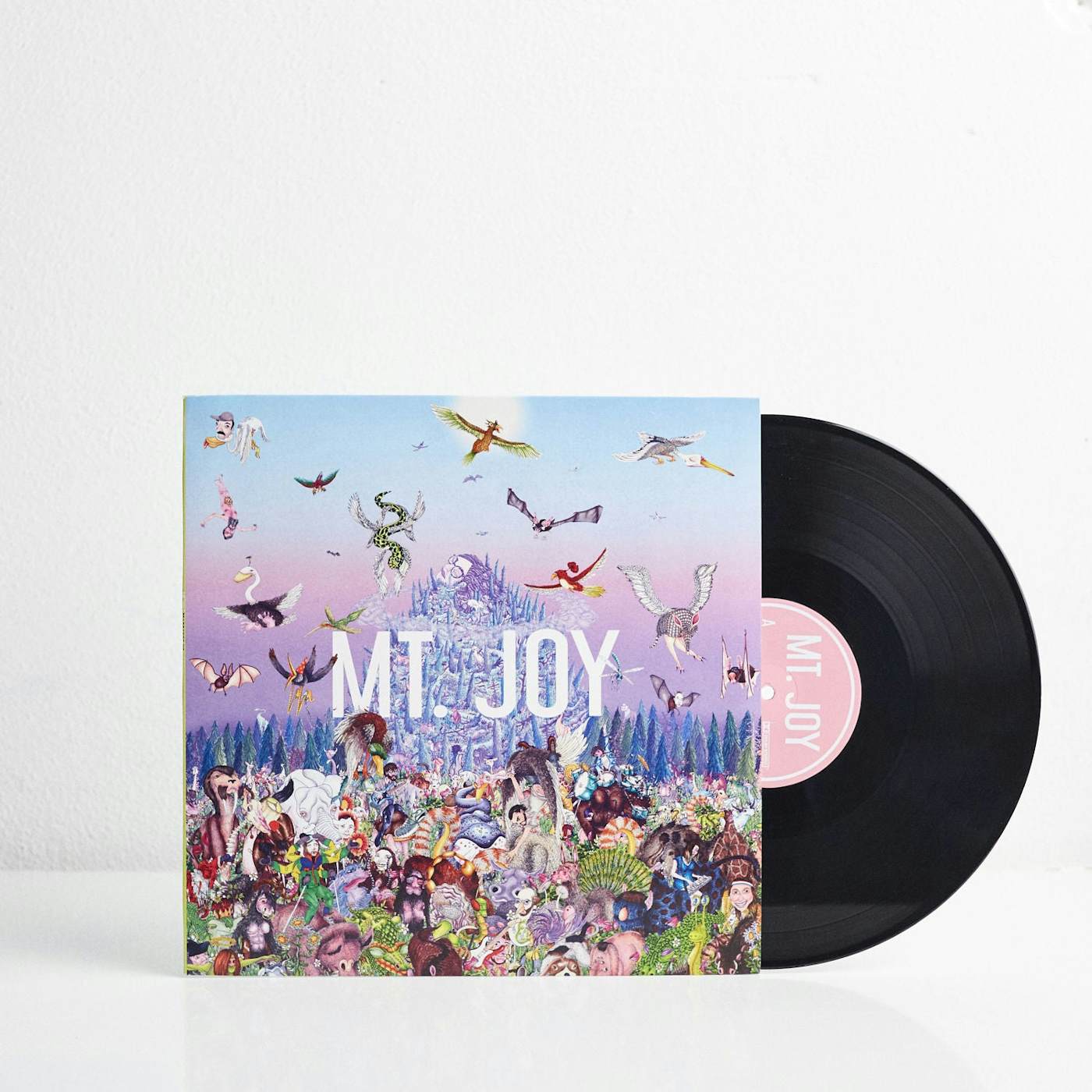 Mt. Joy Rearrange Us (LP) (Vinyl)
