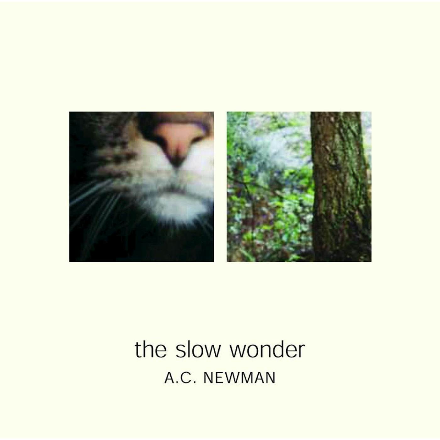 A.C. Newman The Slow Wonder CD