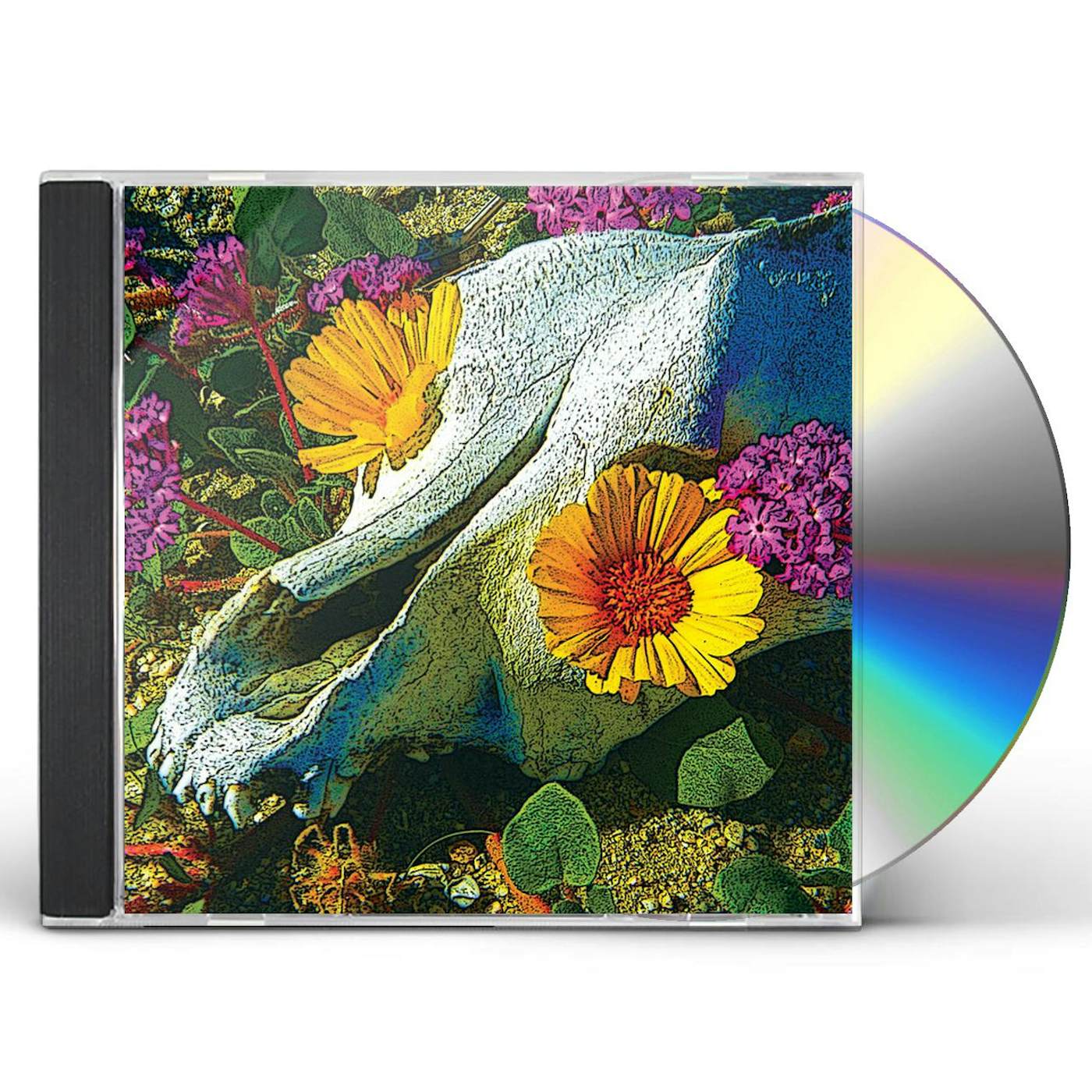 Dali's Llama MERCURY SEA CD