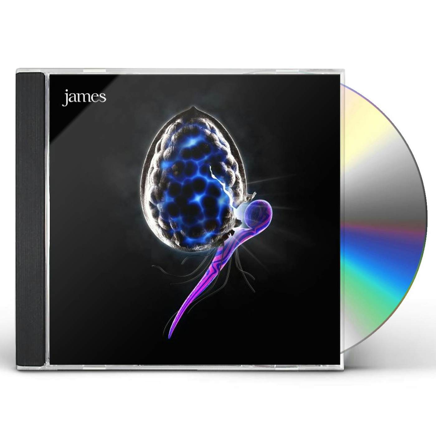 James NIGHT BEFORE CD