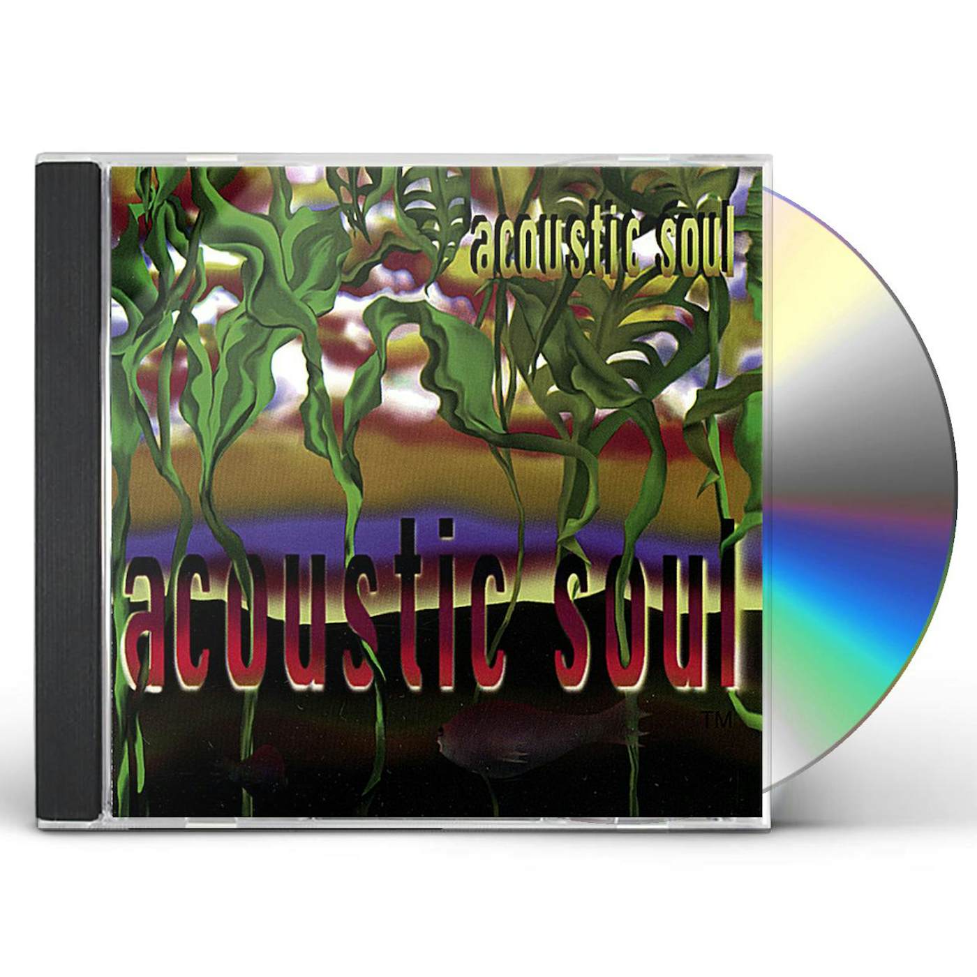 ACOUSTIC SOUL CD