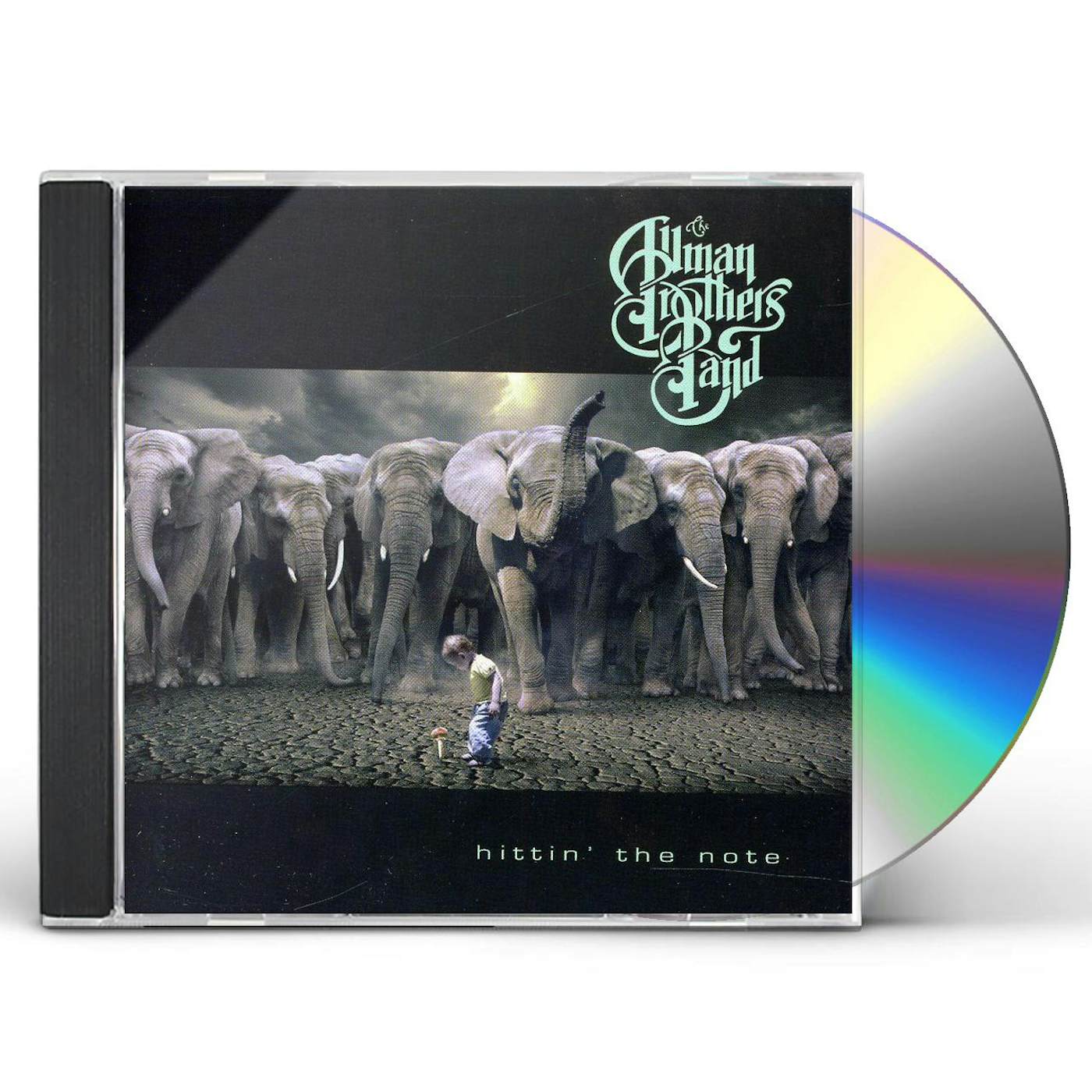 Allman Brothers Band HITTIN THE NOTE CD