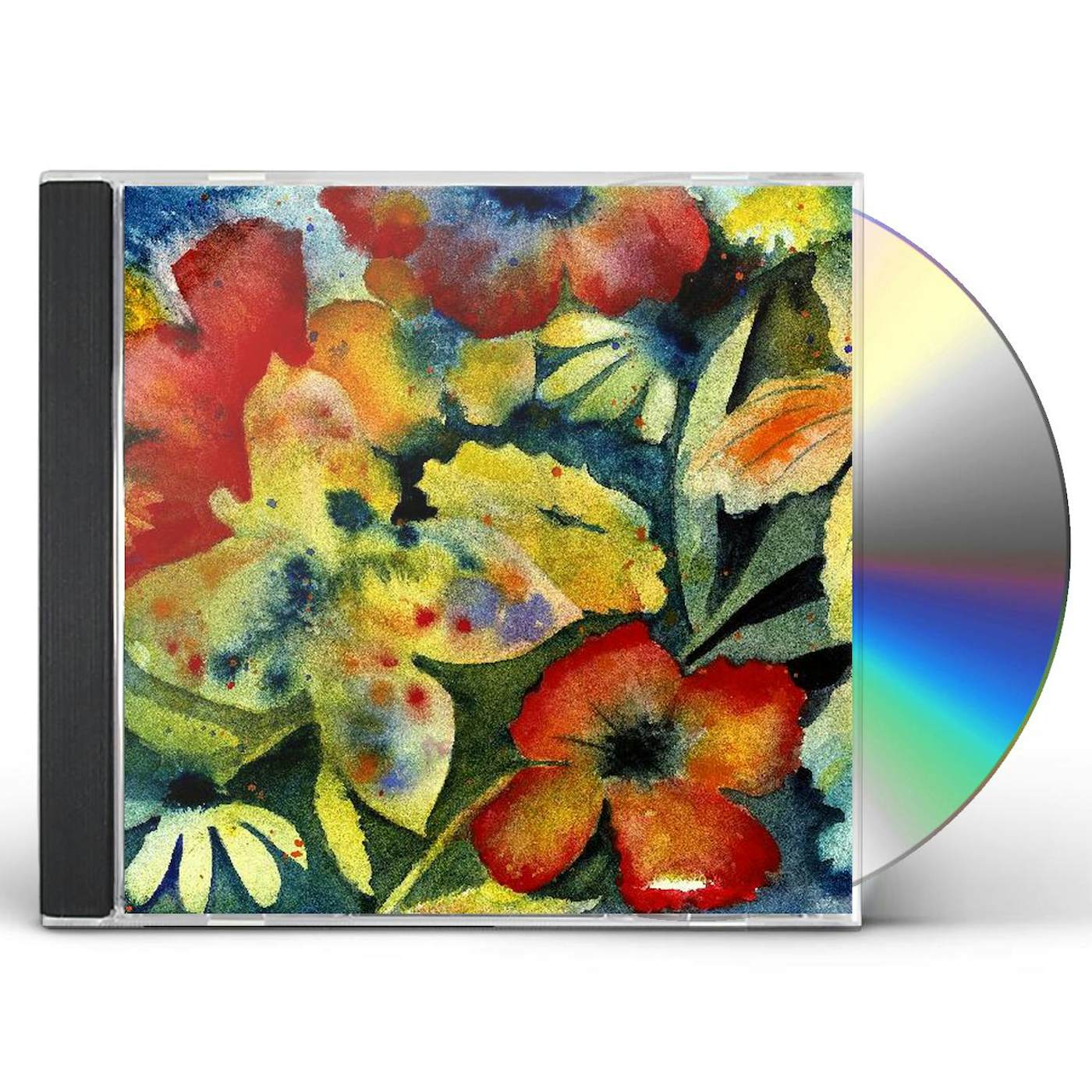 Adrianne Lenker Songs and Instrumentals 2x12 Vinyl (Black) - Big Thief