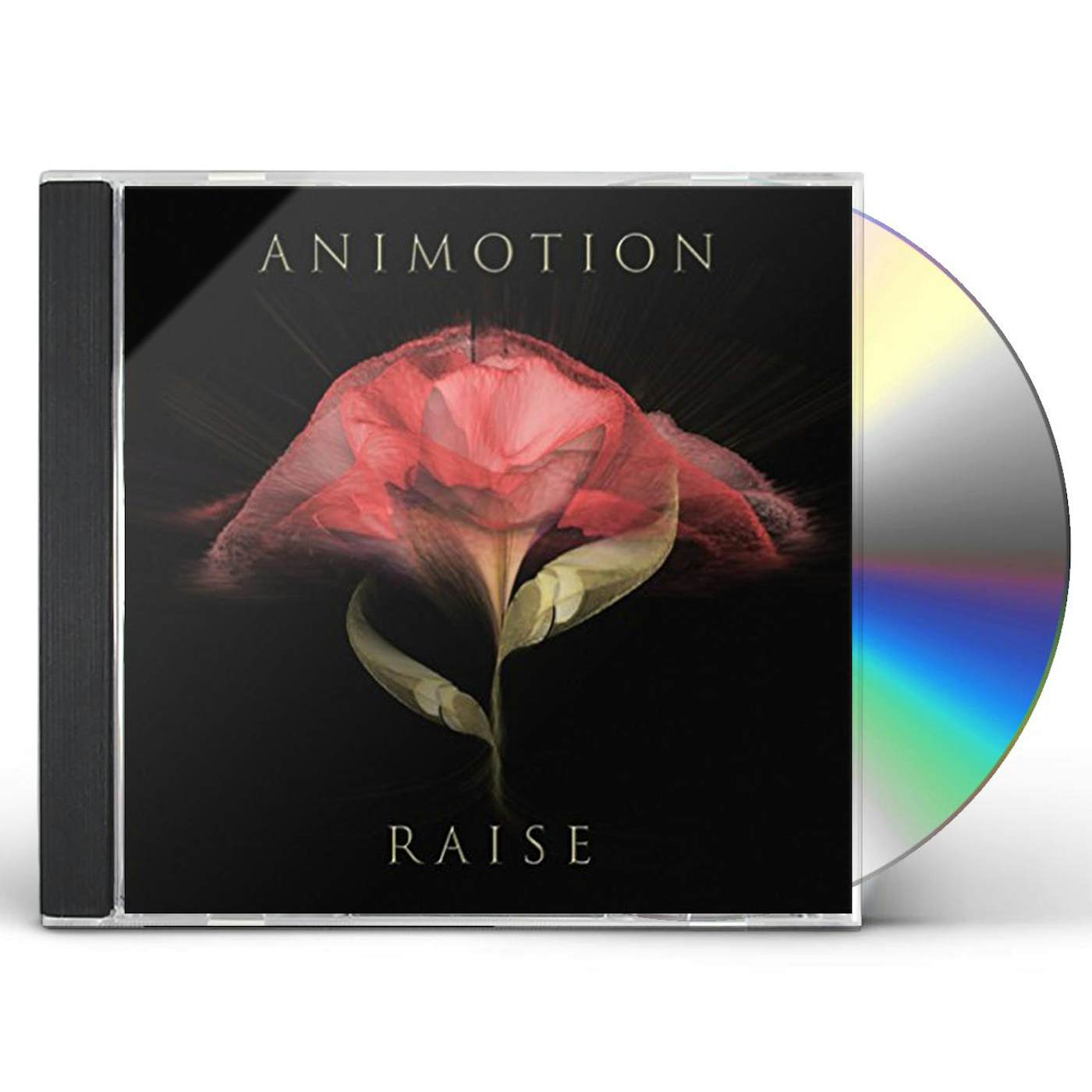 Animotion RAISE YOUR EXPECTATIONS CD