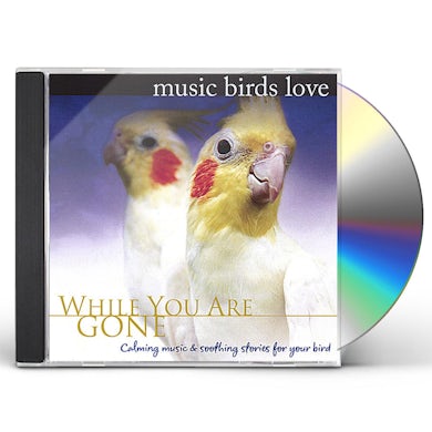 Bradley Joseph MUSIC BIRDS LOVE: WHILE YOU ARE GONE CD