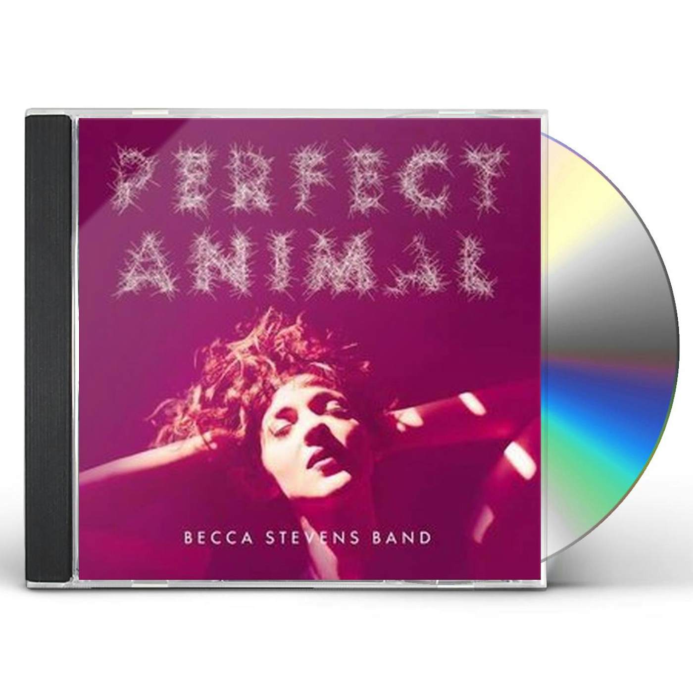 Becca Stevens PERFECT ANIMAL CD