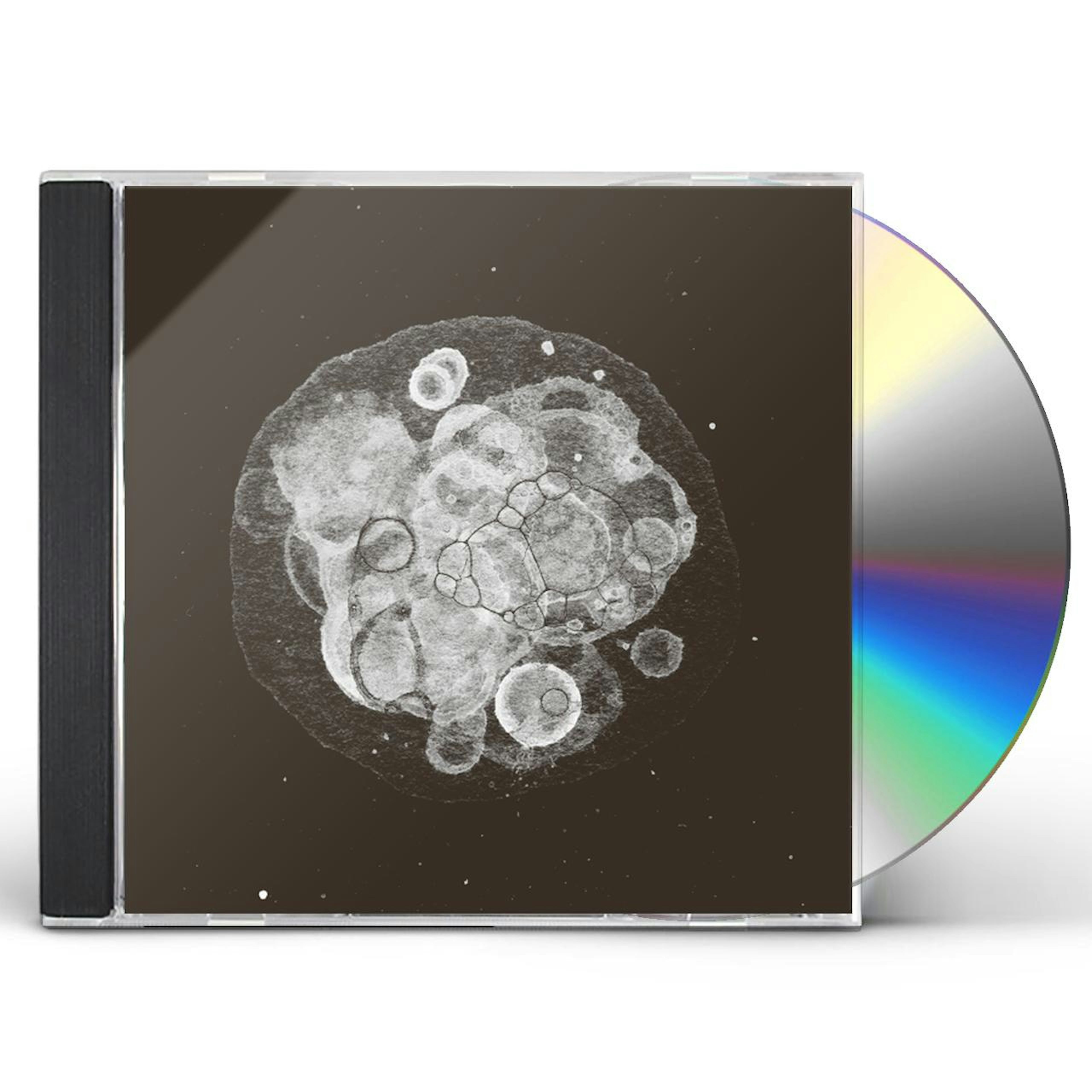 Rafael Toral MOON FIELD CD