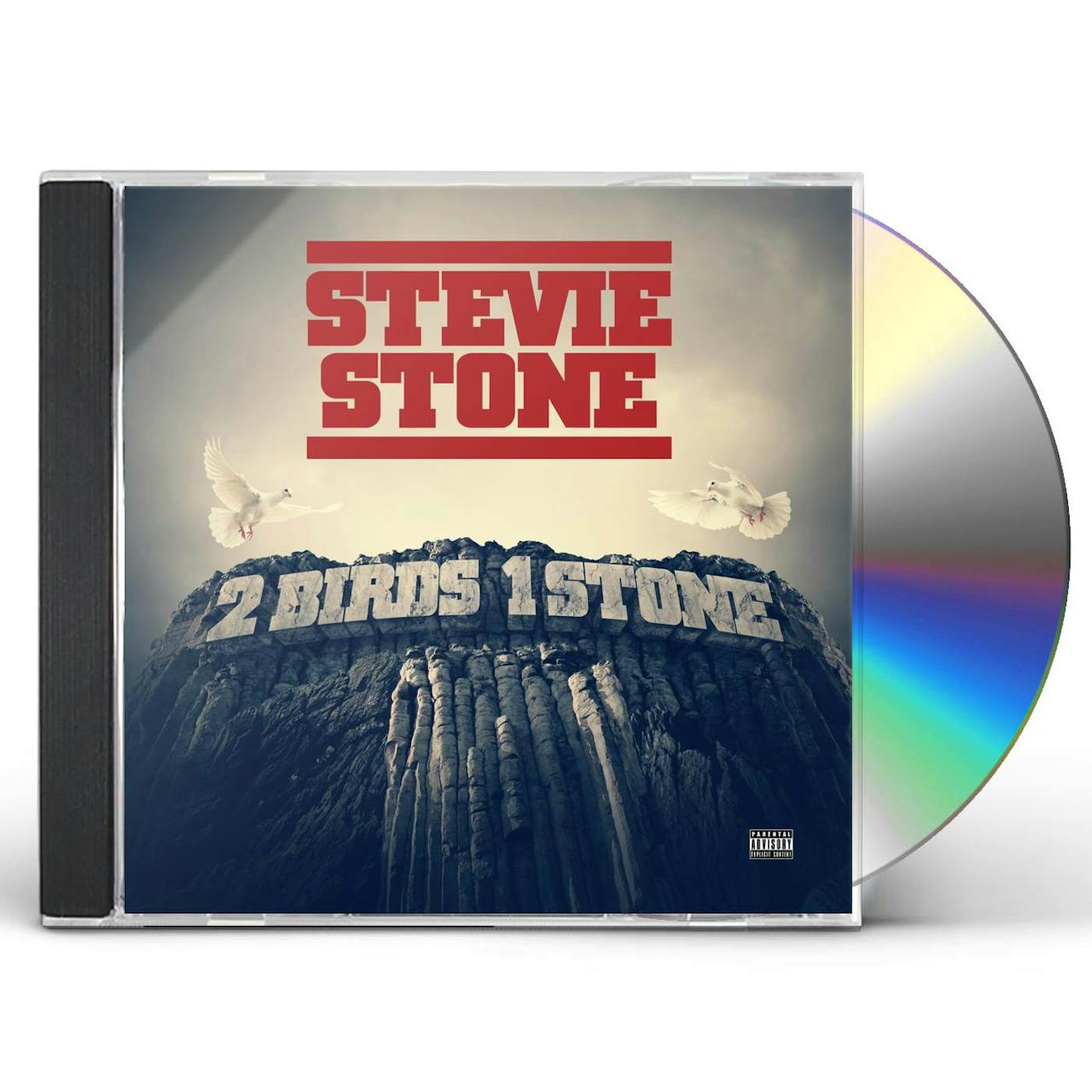 Stevie Stone 2 BIRDS 1 STONE CD