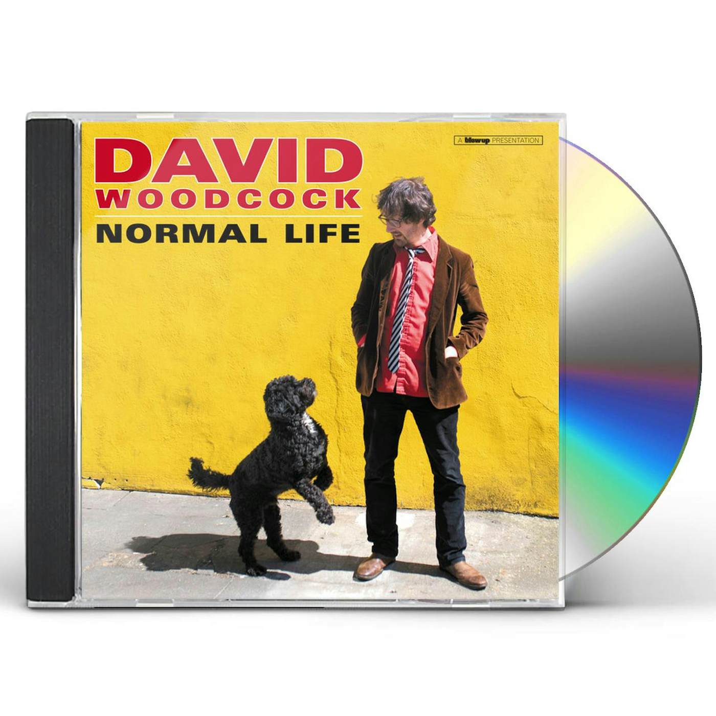 David Woodcock NORMAL LIFE CD