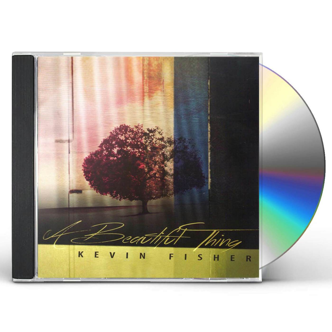 Kevin Fisher BEAUTIFUL THING CD