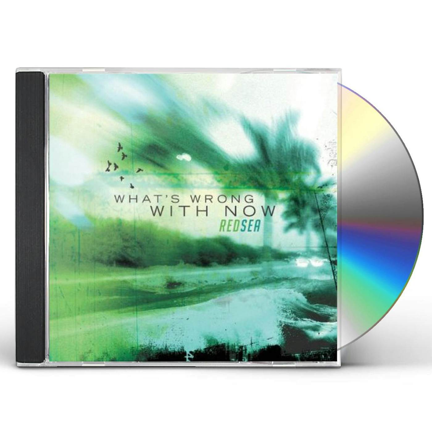 Red Sea WHAT'S WRONG WITH NOW CD