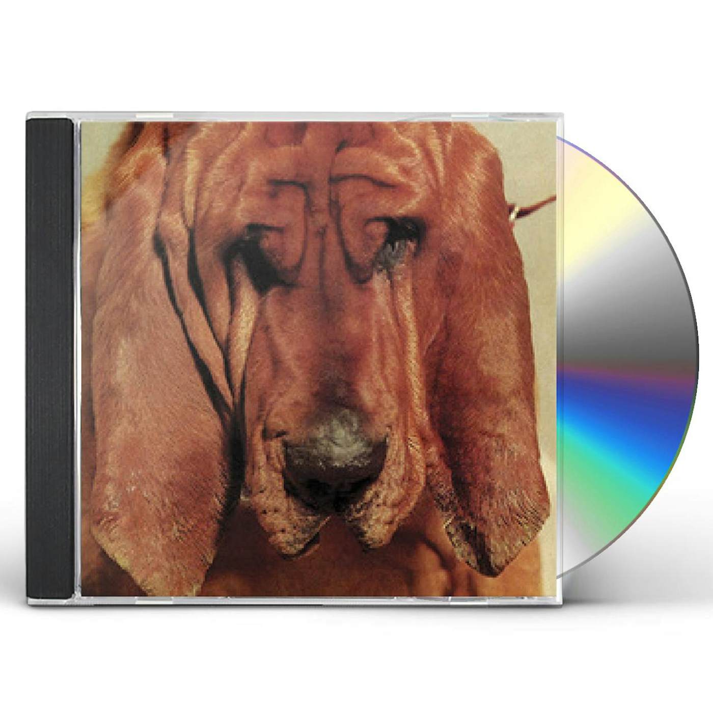 Ty Segall GOODBYE BREAD CD