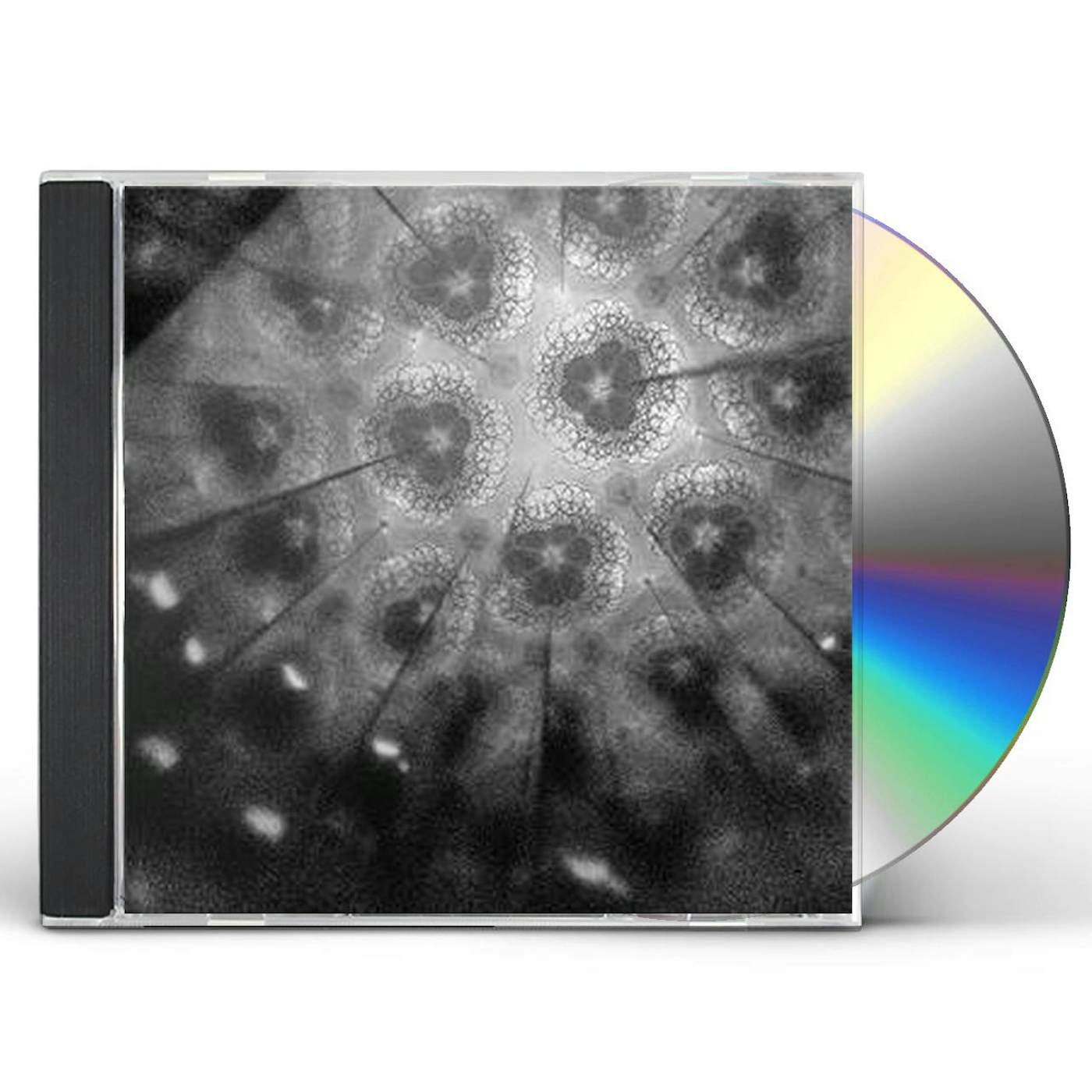 Cory Allen SOURCE CD