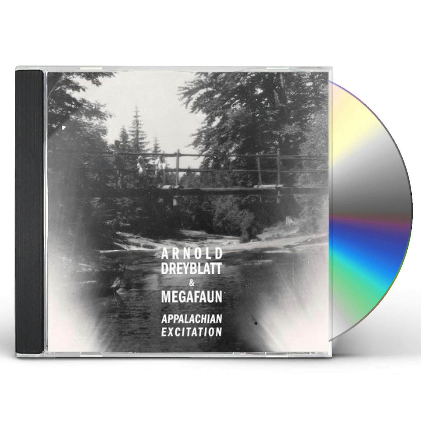 Arnold Dreyblatt APPALACHIAN EXCITATION CD