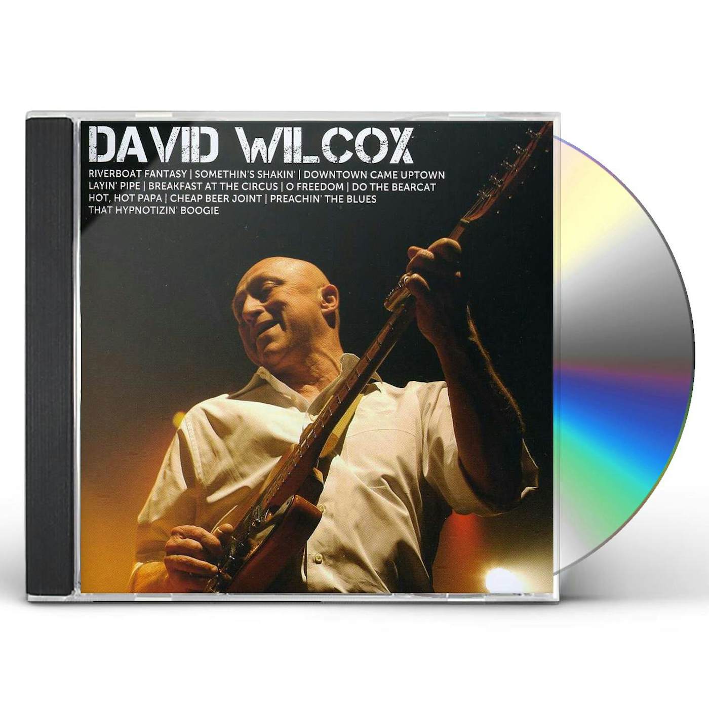 David Wilcox ICON CD
