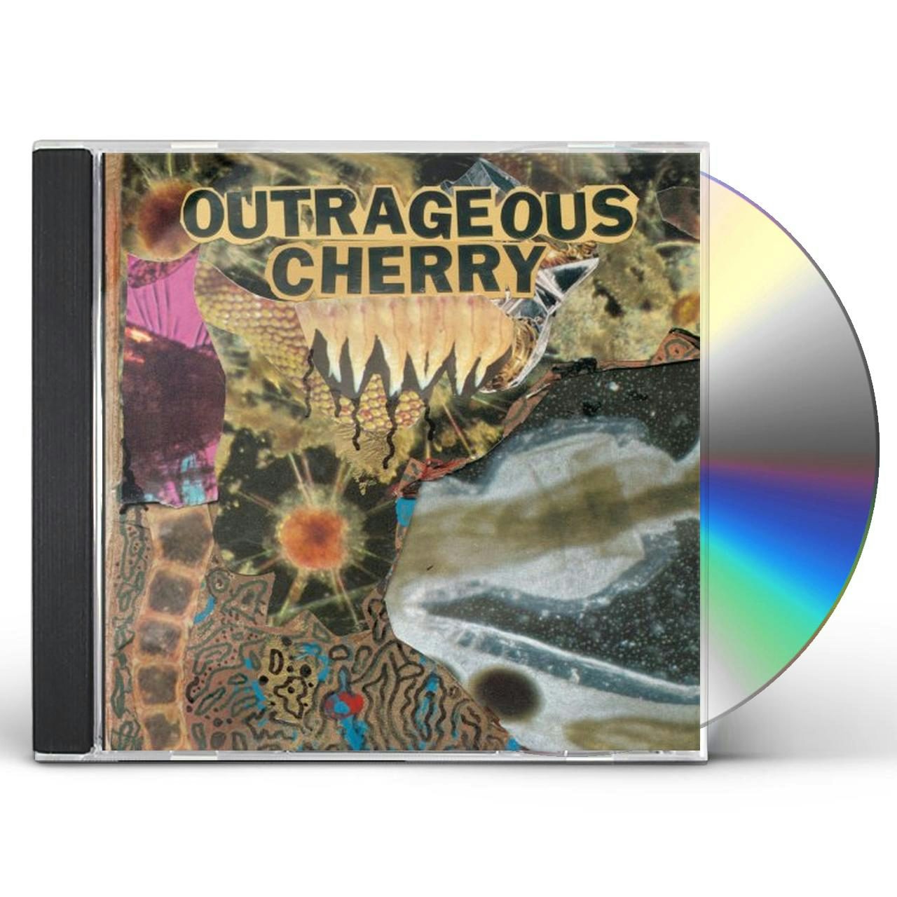 Outrageous Cherry The Digital Age Vinyl Record