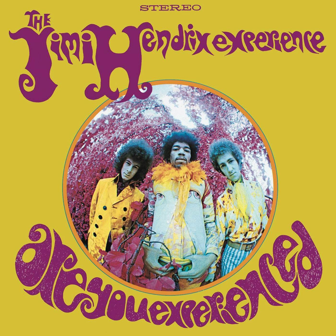 Jimi Hendrix Are You Experienced (180g) Vinyl Record