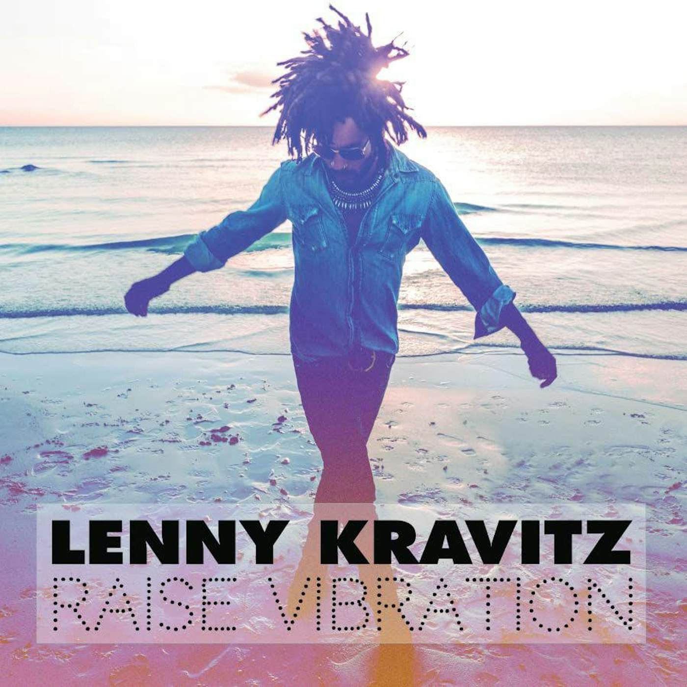 Lenny Kravitz Raise Vibration (Super Deluxe Edition/2LP/CD/Book/Box Set) Vinyl Record