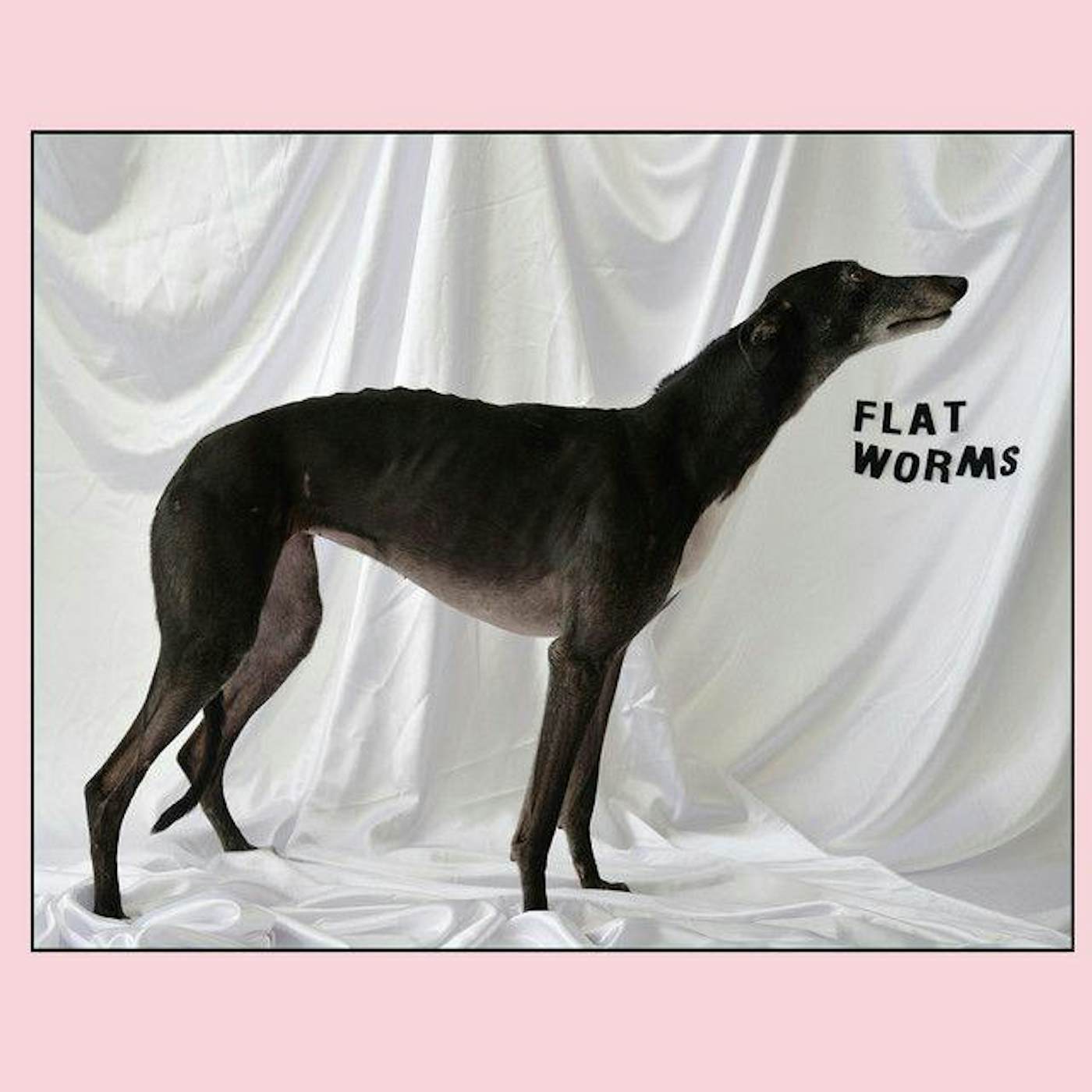 Flat Worms vinyl record