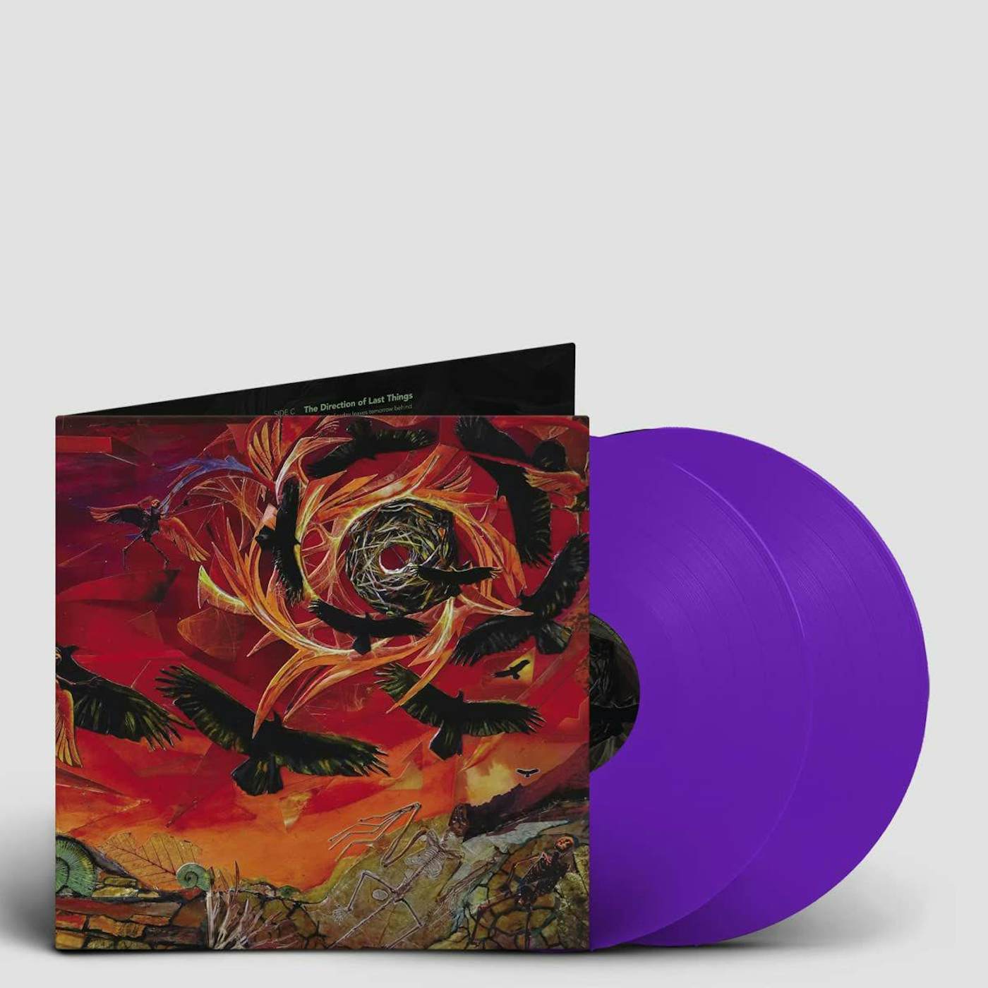 Intronaut Direction of Last Things (2LP/Purple) Vinyl Record