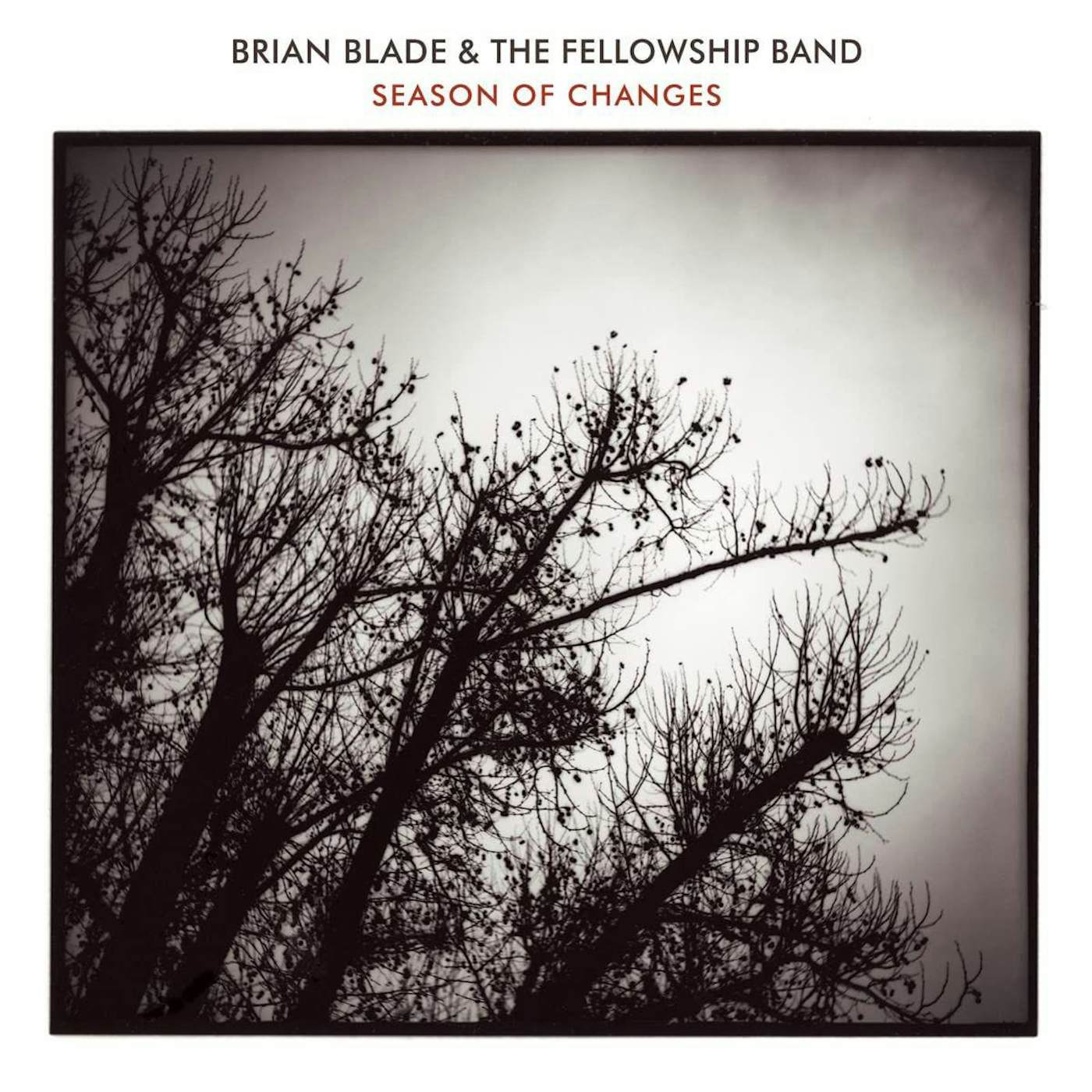 Brian Blade & The Fellowship Band Season Of Changes Vinyl Record