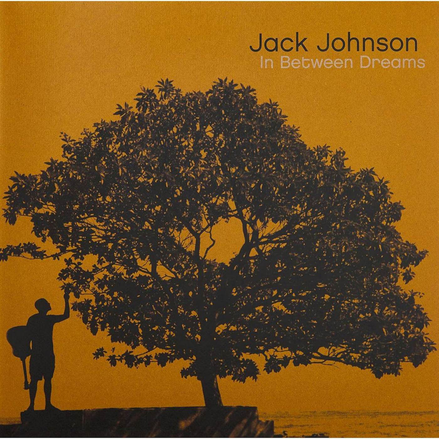 Jack Johnson In Between Dreams Vinyl Record