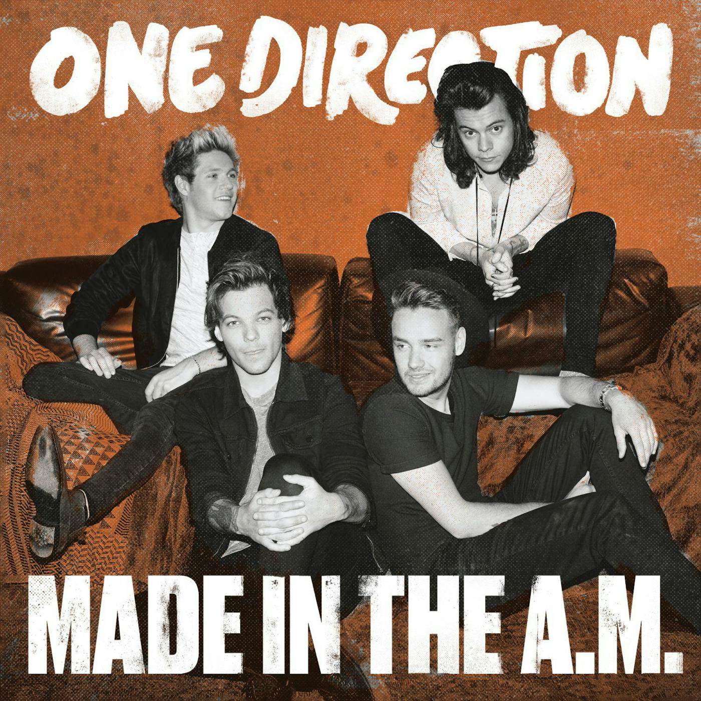 One Direction Made in The A.M. (2LP) Vinyl Record