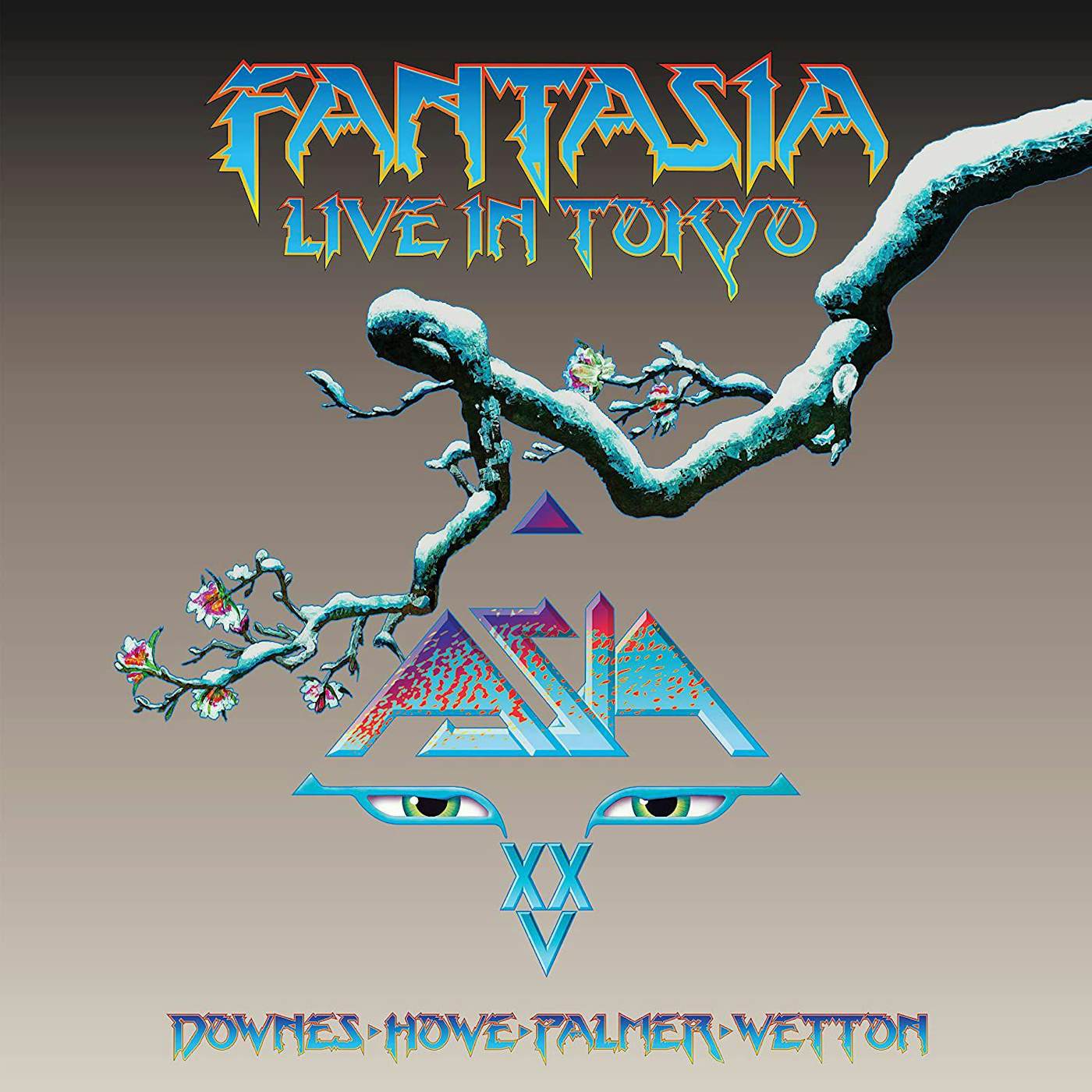 Fantasia, Live In Tokyo 2007 Vinyl Record