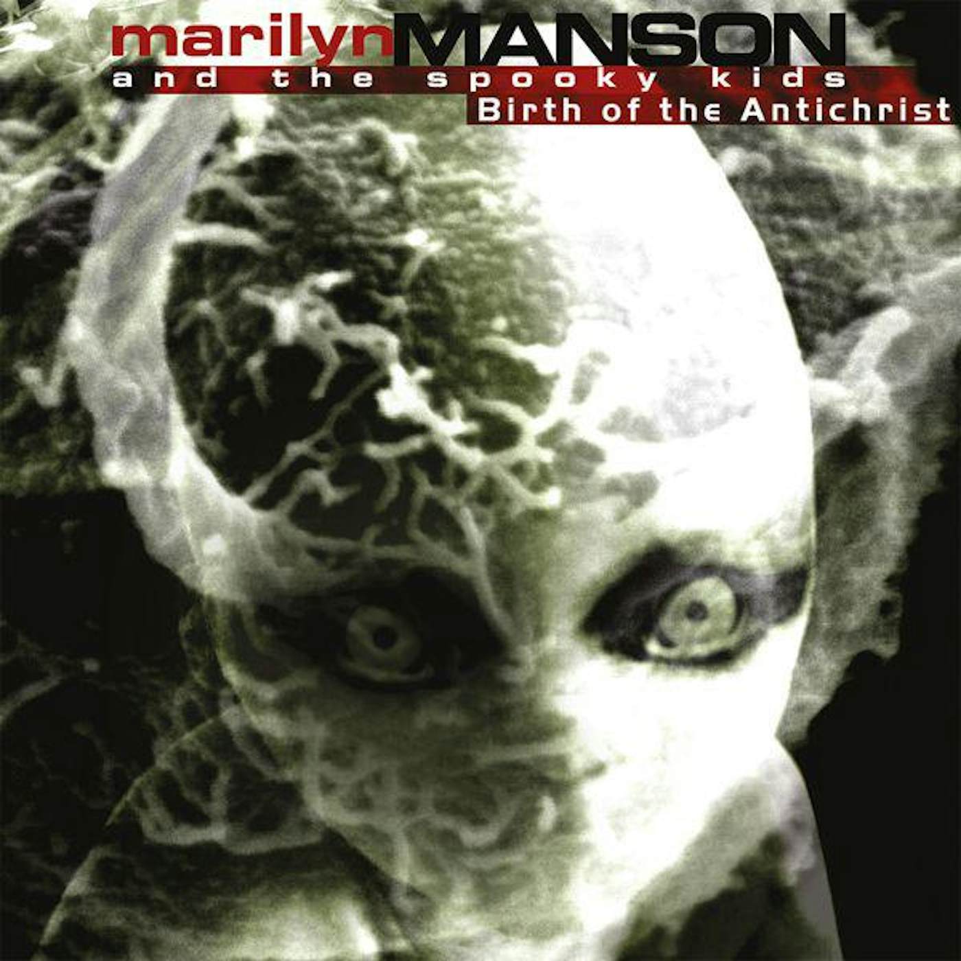 Marilyn Manson Birth Of The Anti Christ (Clear) Vinyl Record