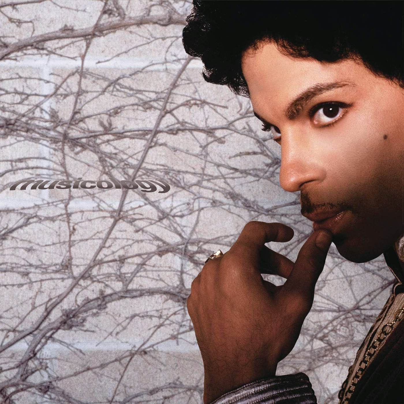 Prince MUSICOLOGY (2LP/150G/PURPLE VINYL) Vinyl Record