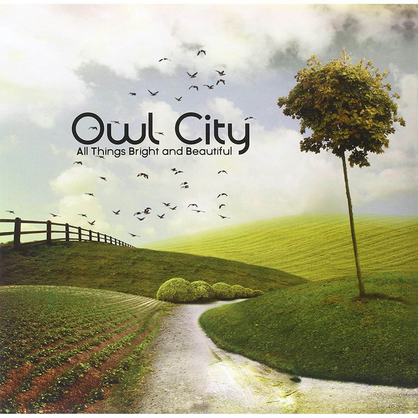 Owl City All Things Bright & Beautiful Vinyl Record