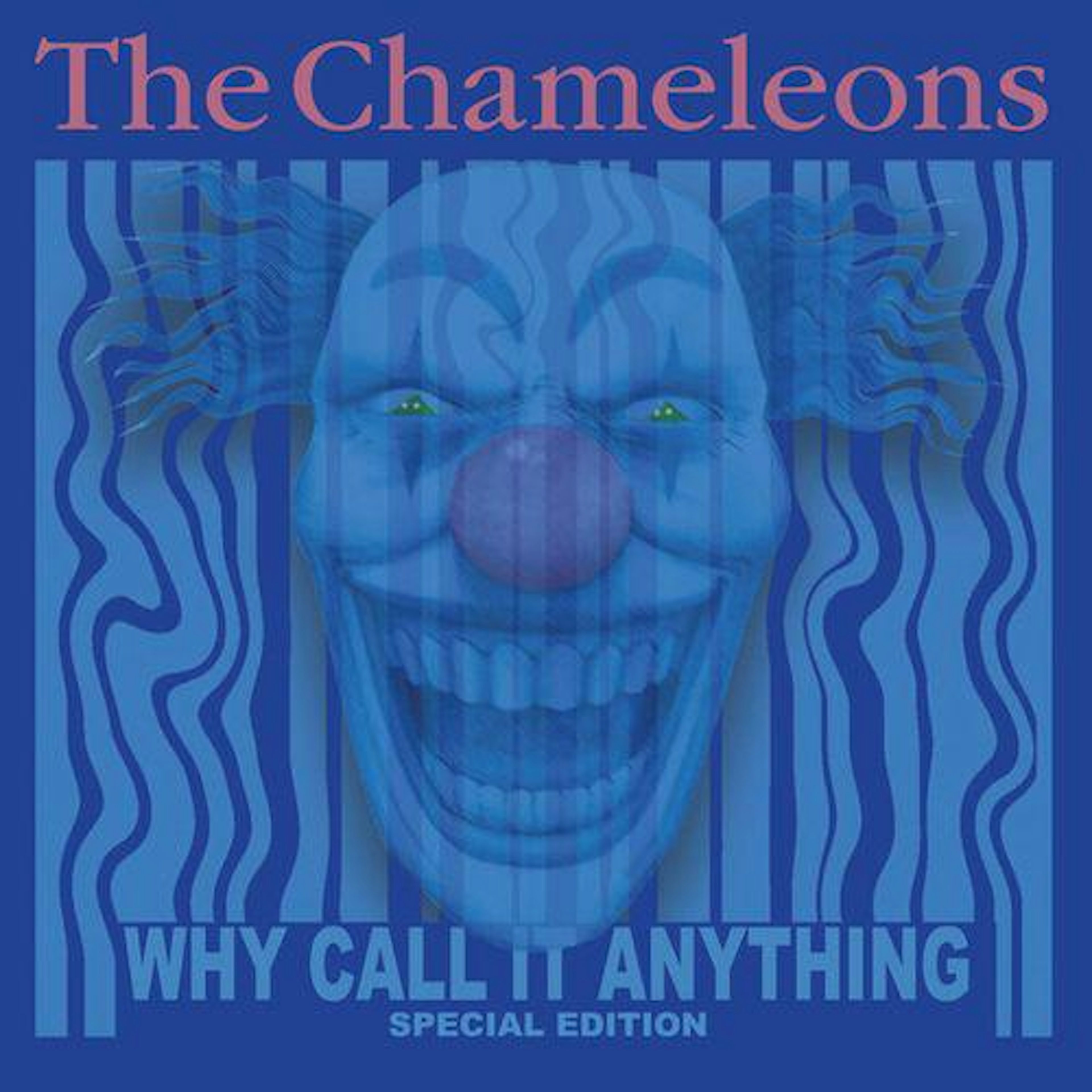 The Chameleons Why Call Anything Vinyl