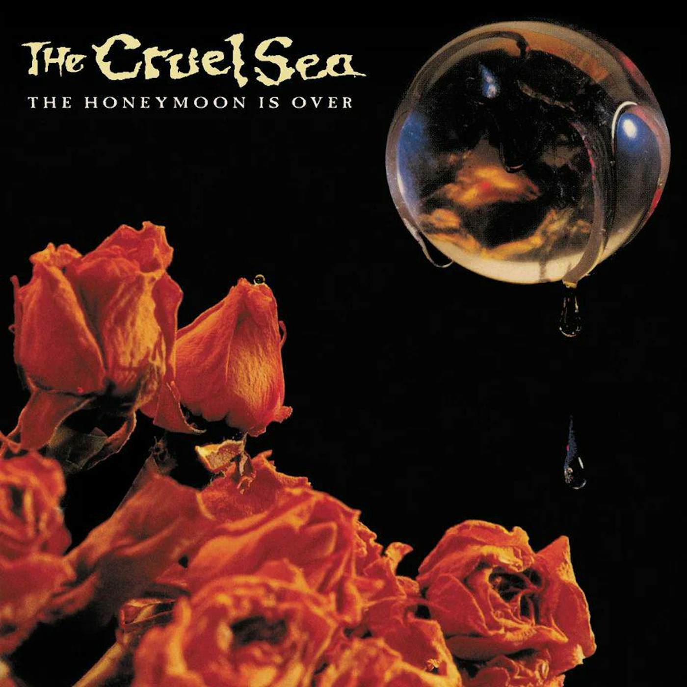 The Cruel Sea Honeymoon Is Over (30th Anniversary) Vinyl Record