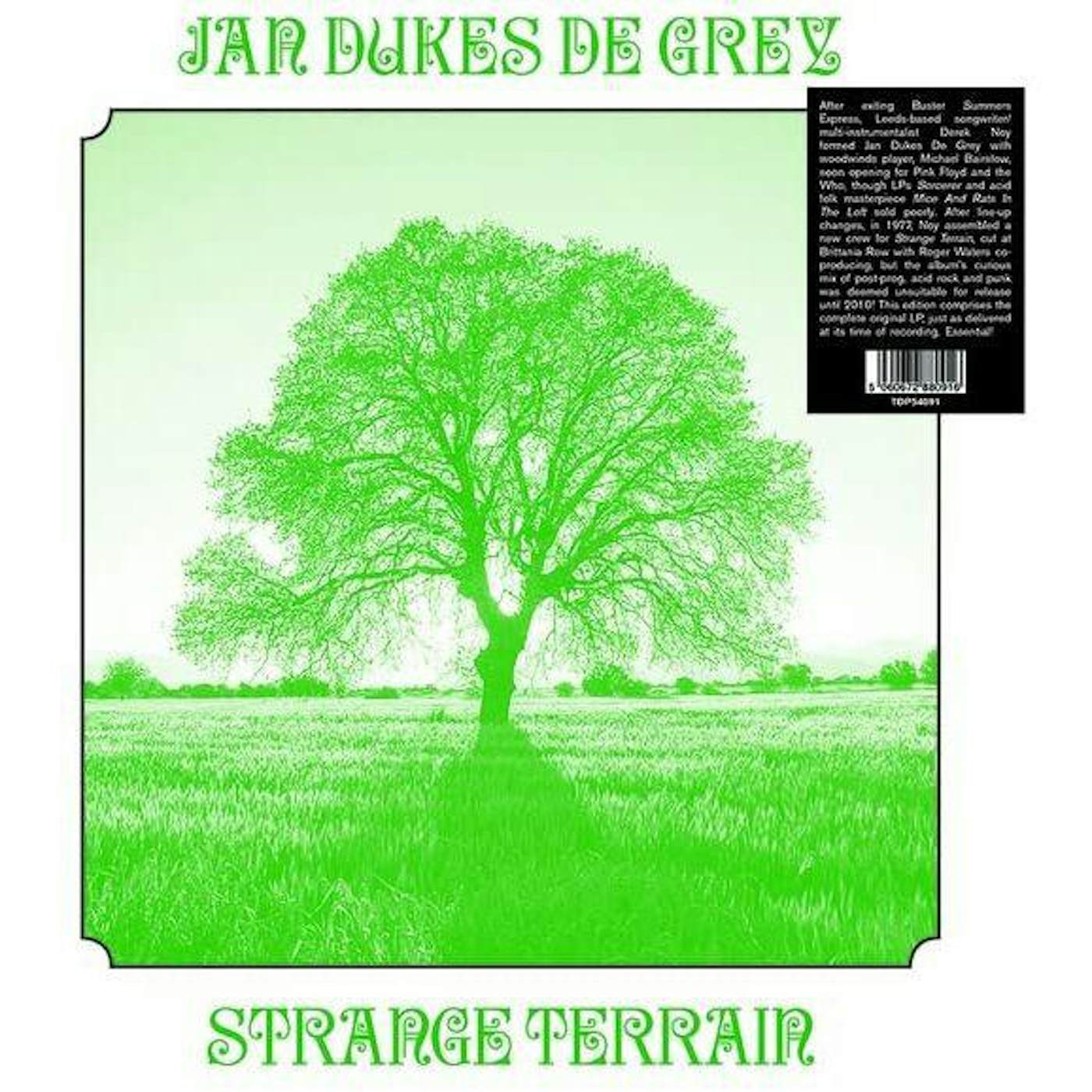 Jan Dukes De Grey Strange Terrain Vinyl Record