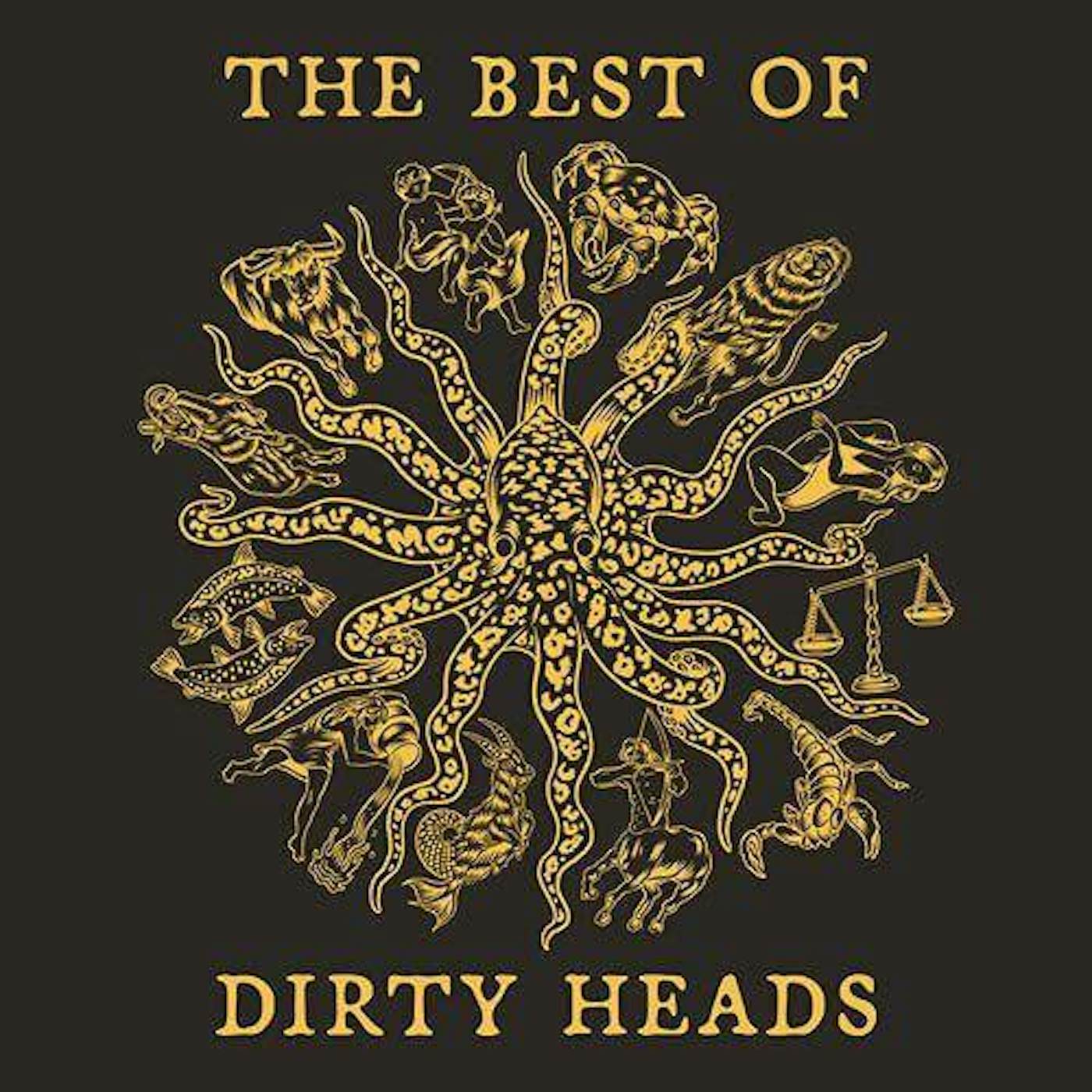 Best Of Dirty Heads Vinyl Record