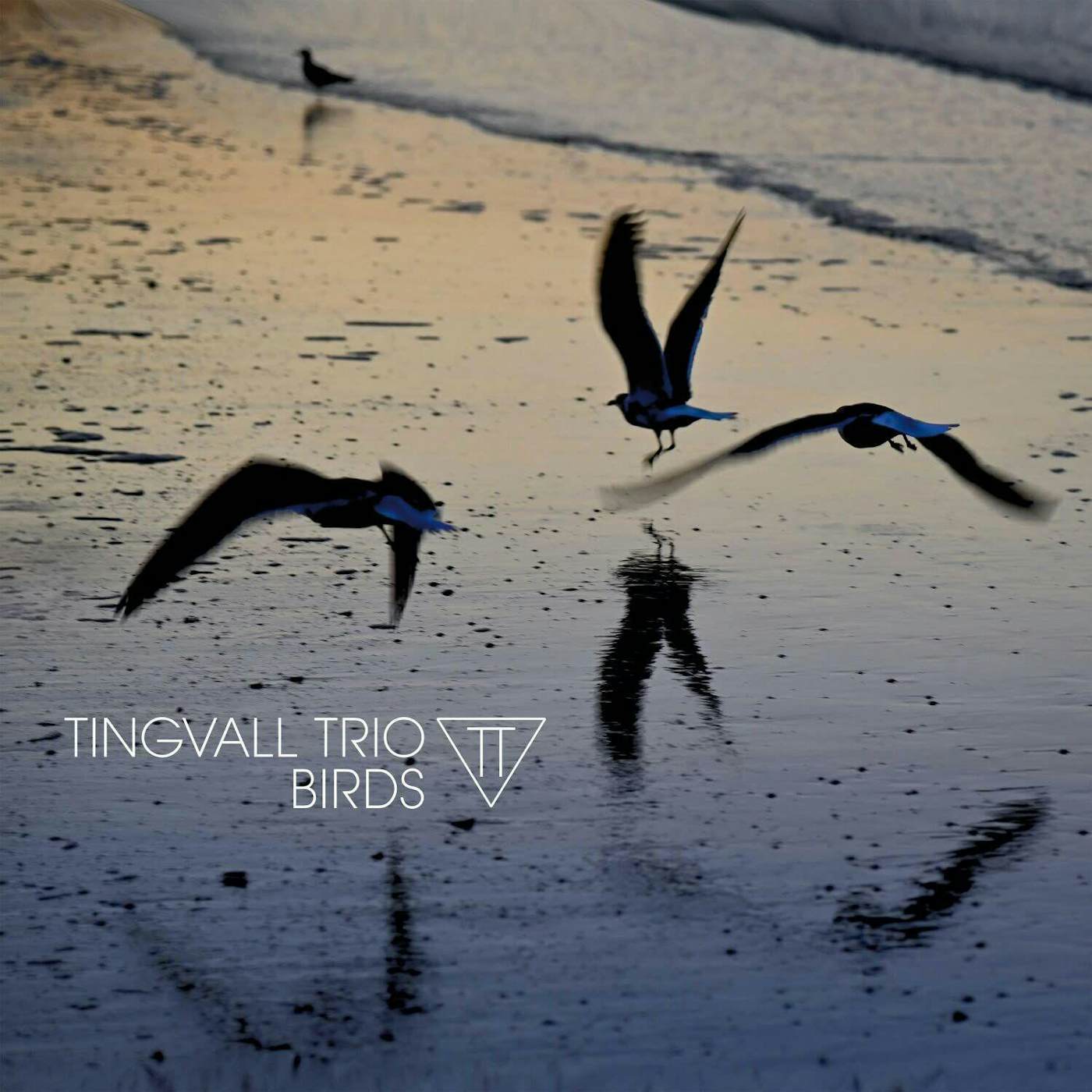 Tingvall Trio Birds Vinyl Record