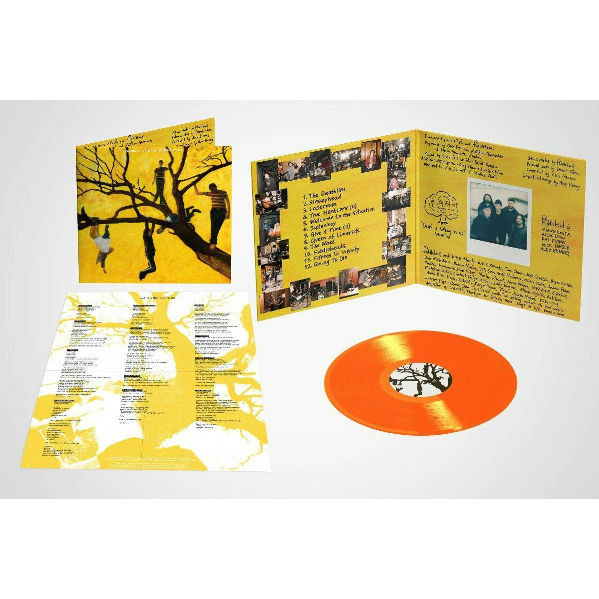 Fiddlehead Shirts,Fiddlehead Merch,Fiddlehead Hoodies,Fiddlehead Vinyl