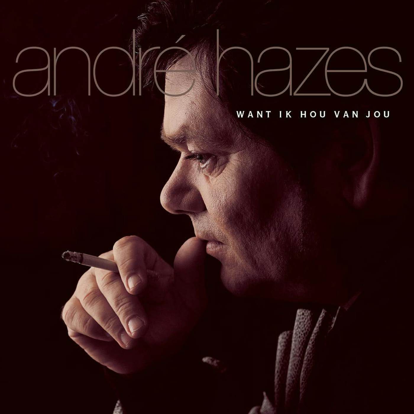 Andre Hazes Want Ik Hou Van Jou (Gold/180g) Vinyl Record
