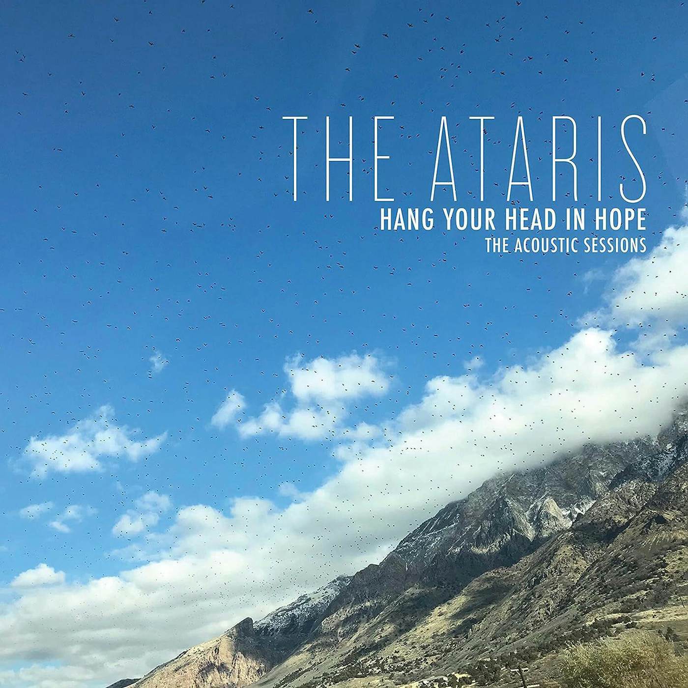 The Ataris Hang Your Head - The Acoustic Sessions (Blue/White Splatter) Vinyl Record