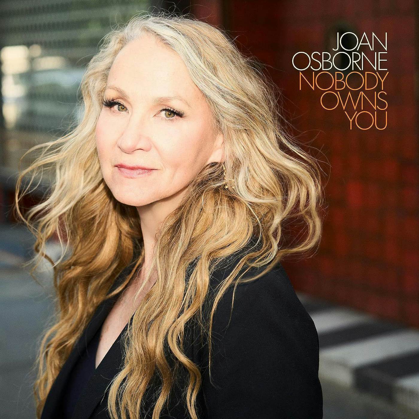 Joan Osborne Nobody Owns You Vinyl Record