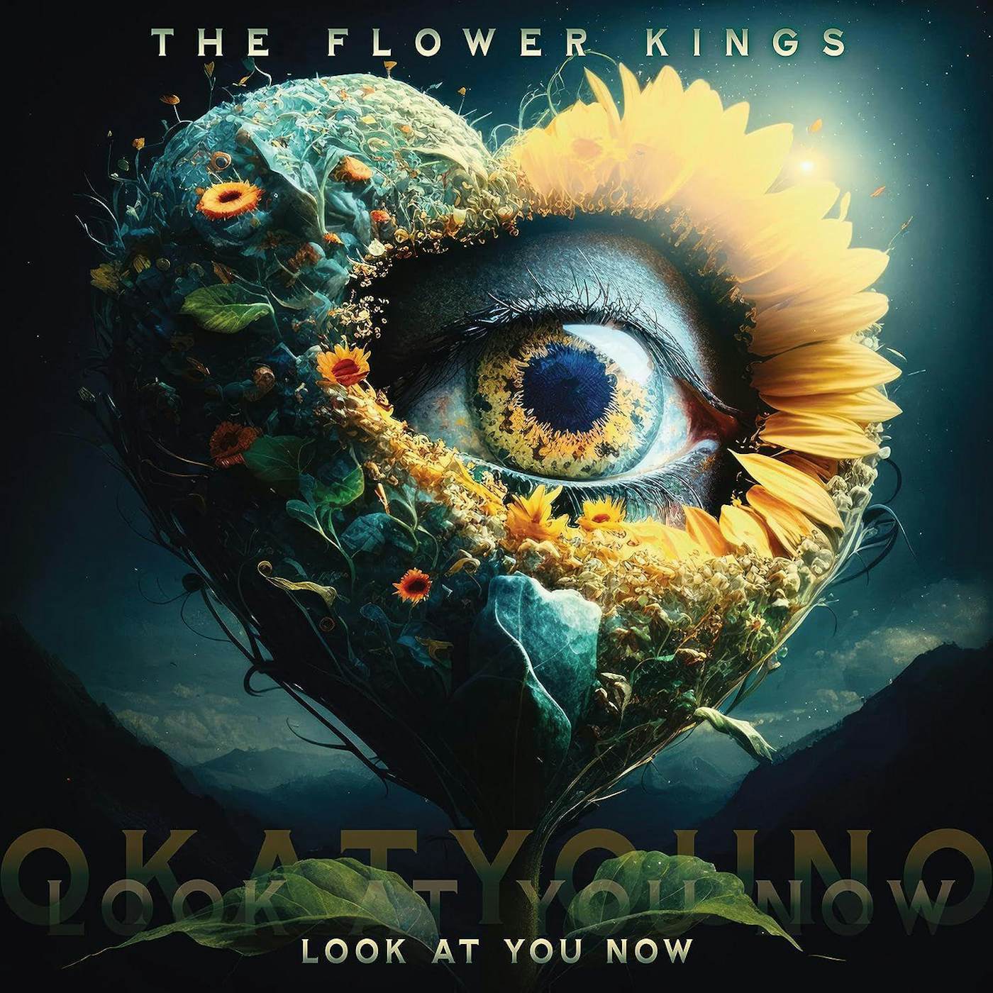 The Flower Kings Look At You Now (2LP) Vinyl Record