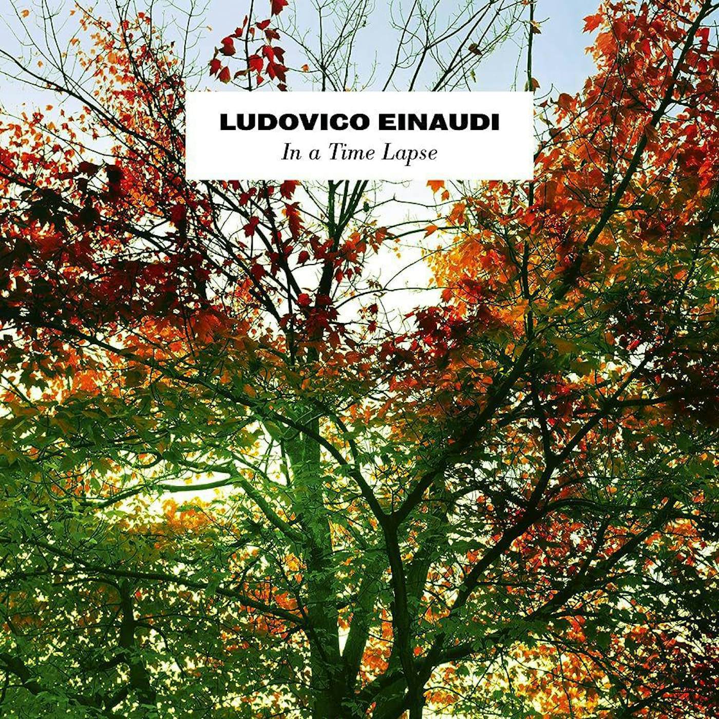 In A Time Lapse (3LP) Vinyl Record - Ludovico Einaudi