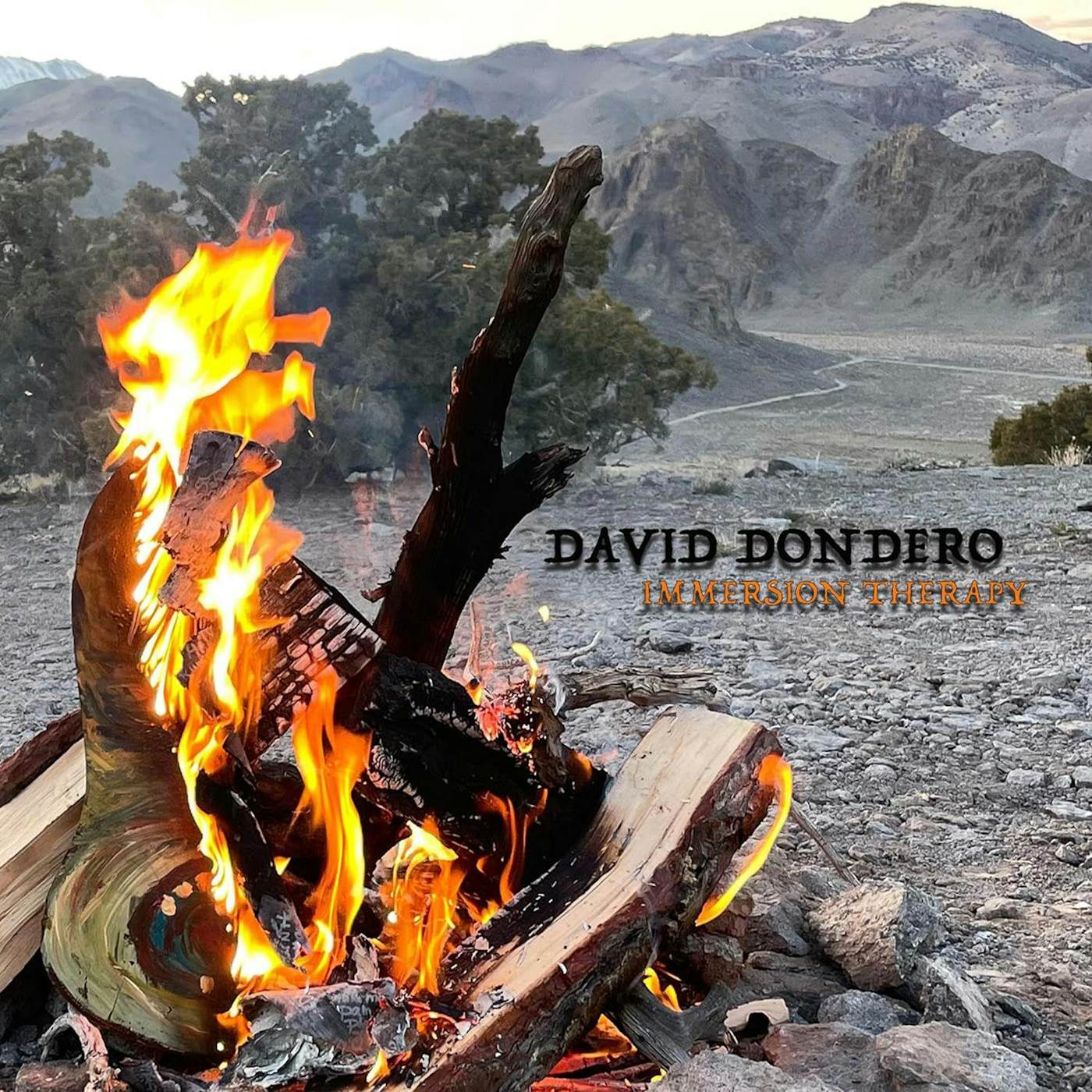 David Dondero Immersion Therapy Vinyl Record