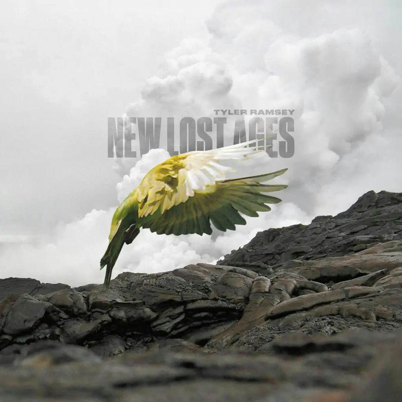 Tyler Ramsey New Lost Ages (Natural Warm Grey Vinyl Record) 